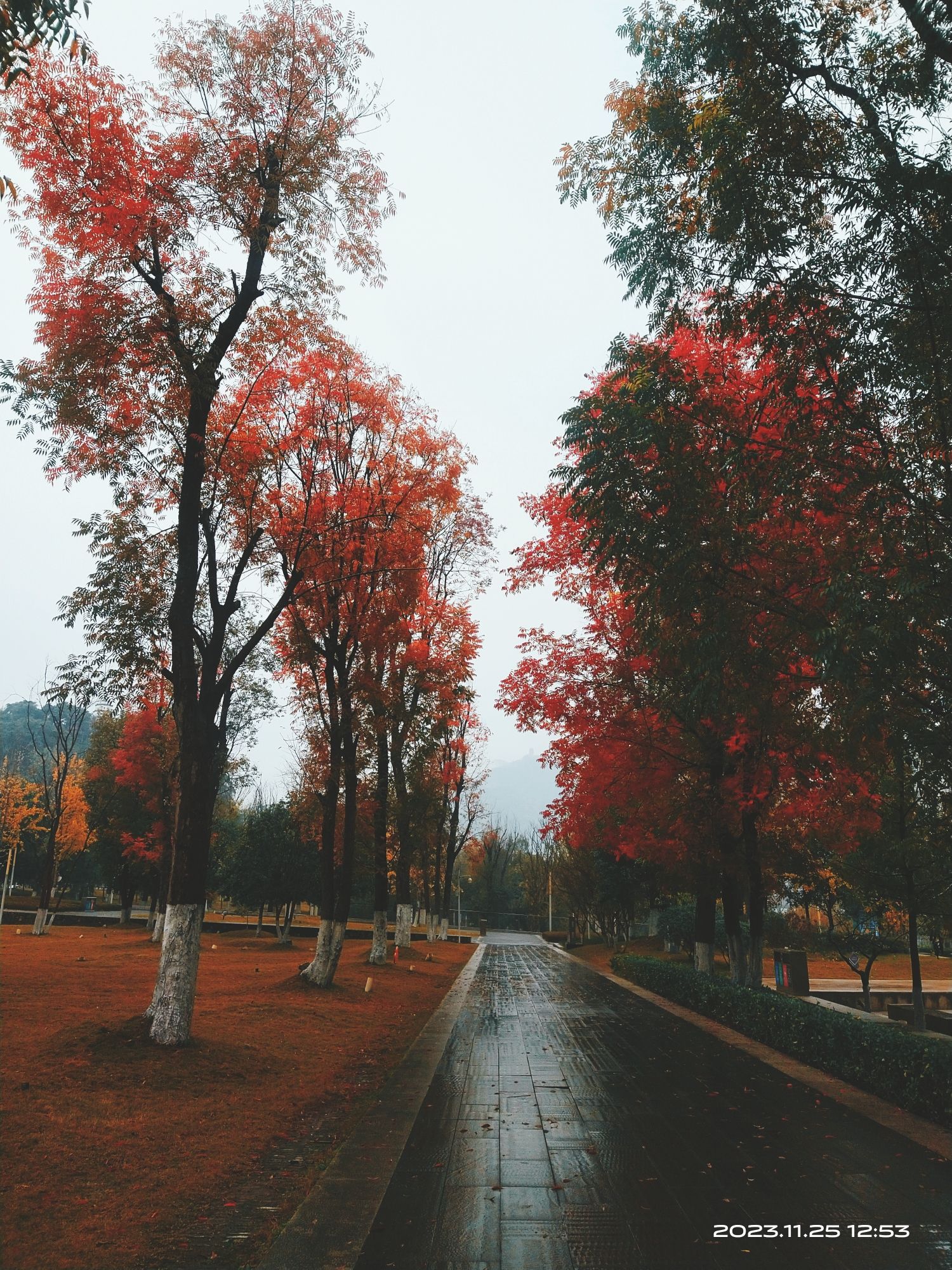 塔沱湿地公园旅行图片 1