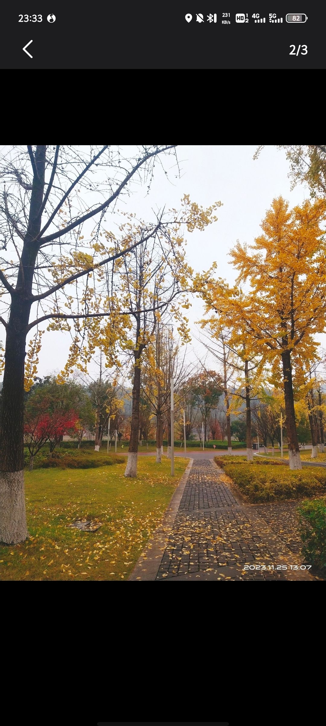 塔沱湿地公园旅行图片 3