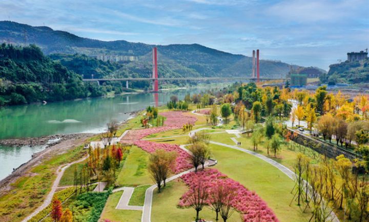 塔沱湿地公园旅行图片 3