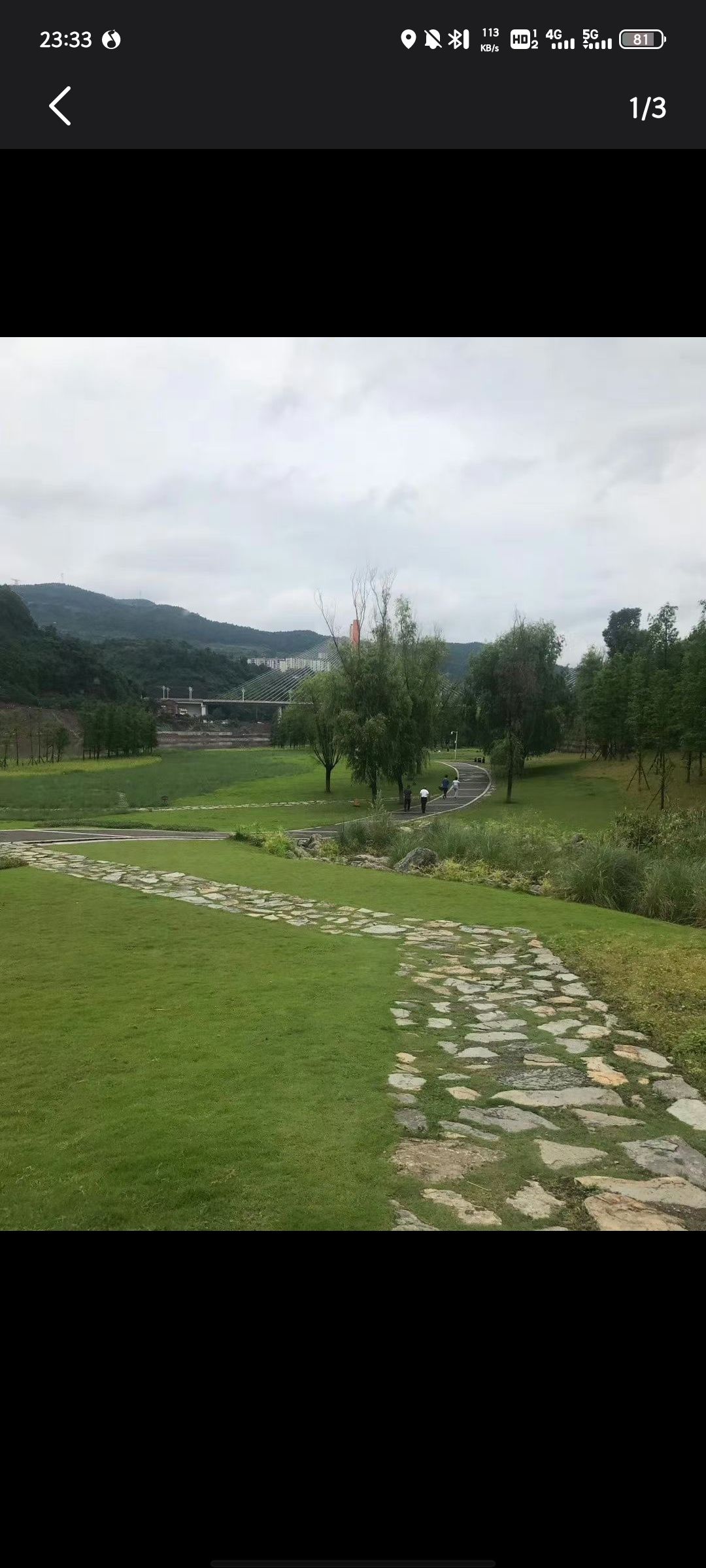 塔沱湿地公园旅行图片 2