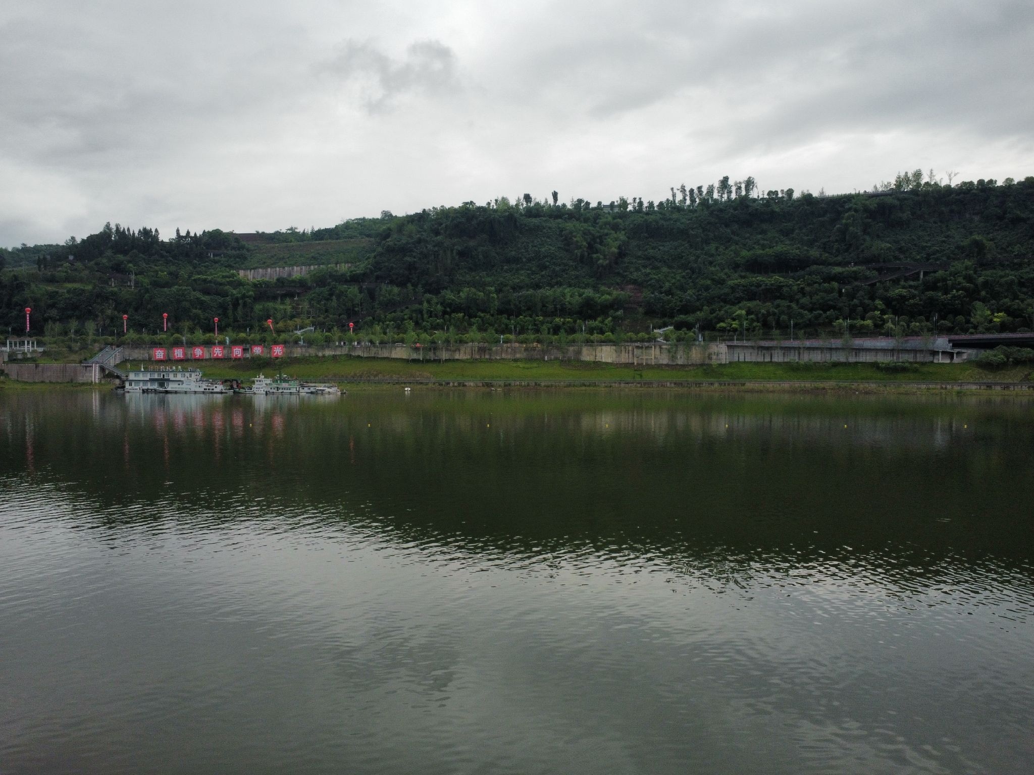 塔沱湿地公园旅行图片 2