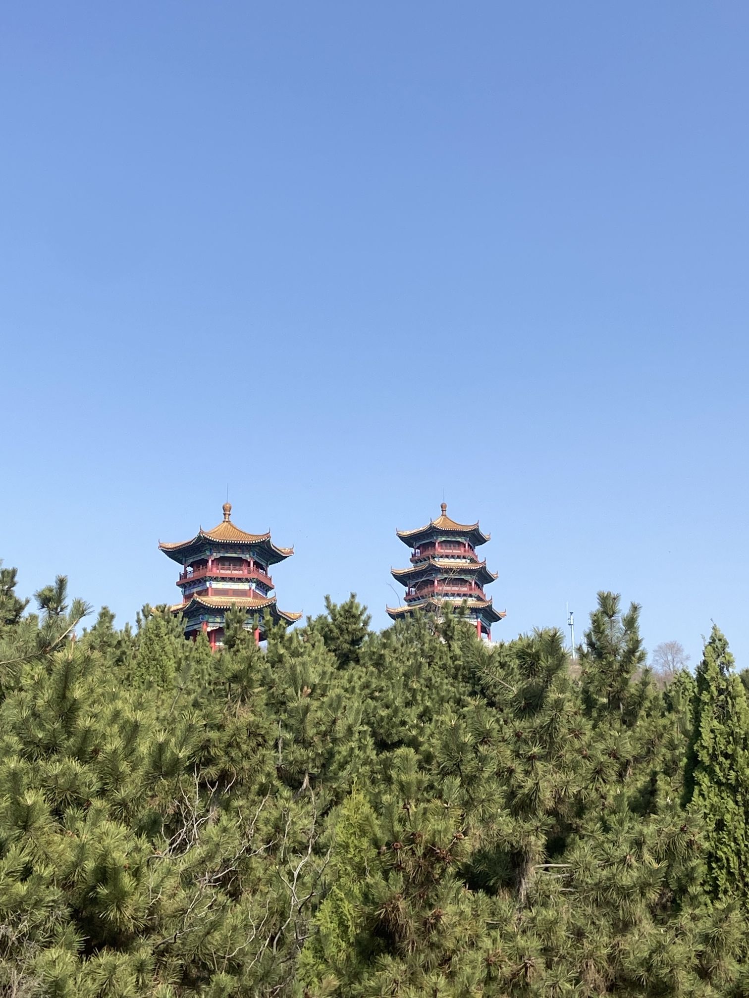 金银阁景区旅行图片 1