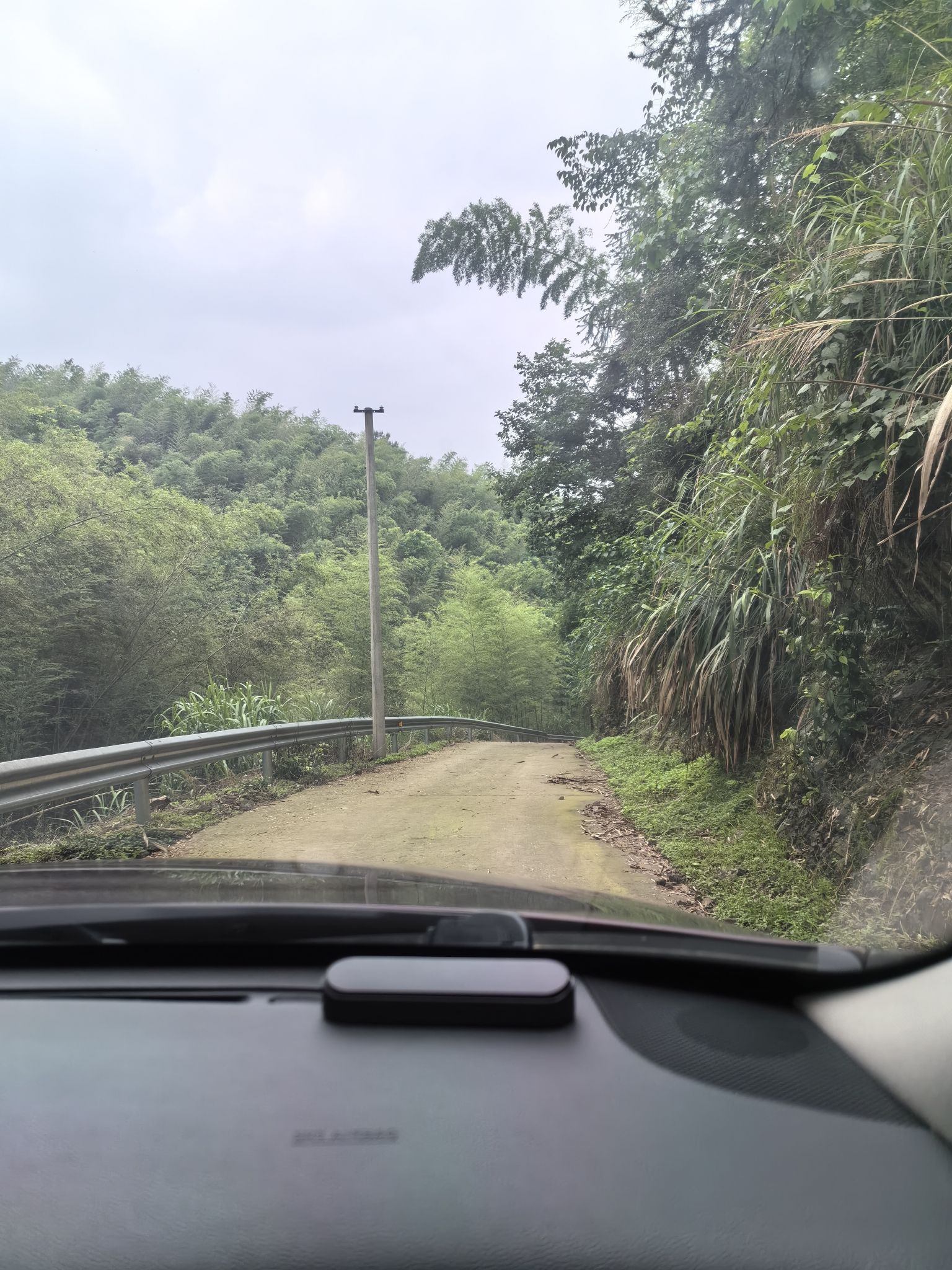 汉寿竹海国家森林公园旅行图片 2