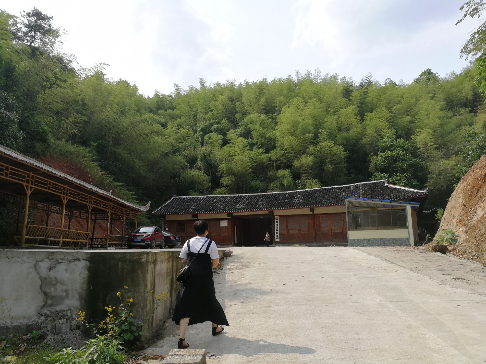 汉寿竹海国家森林公园旅行图片 2