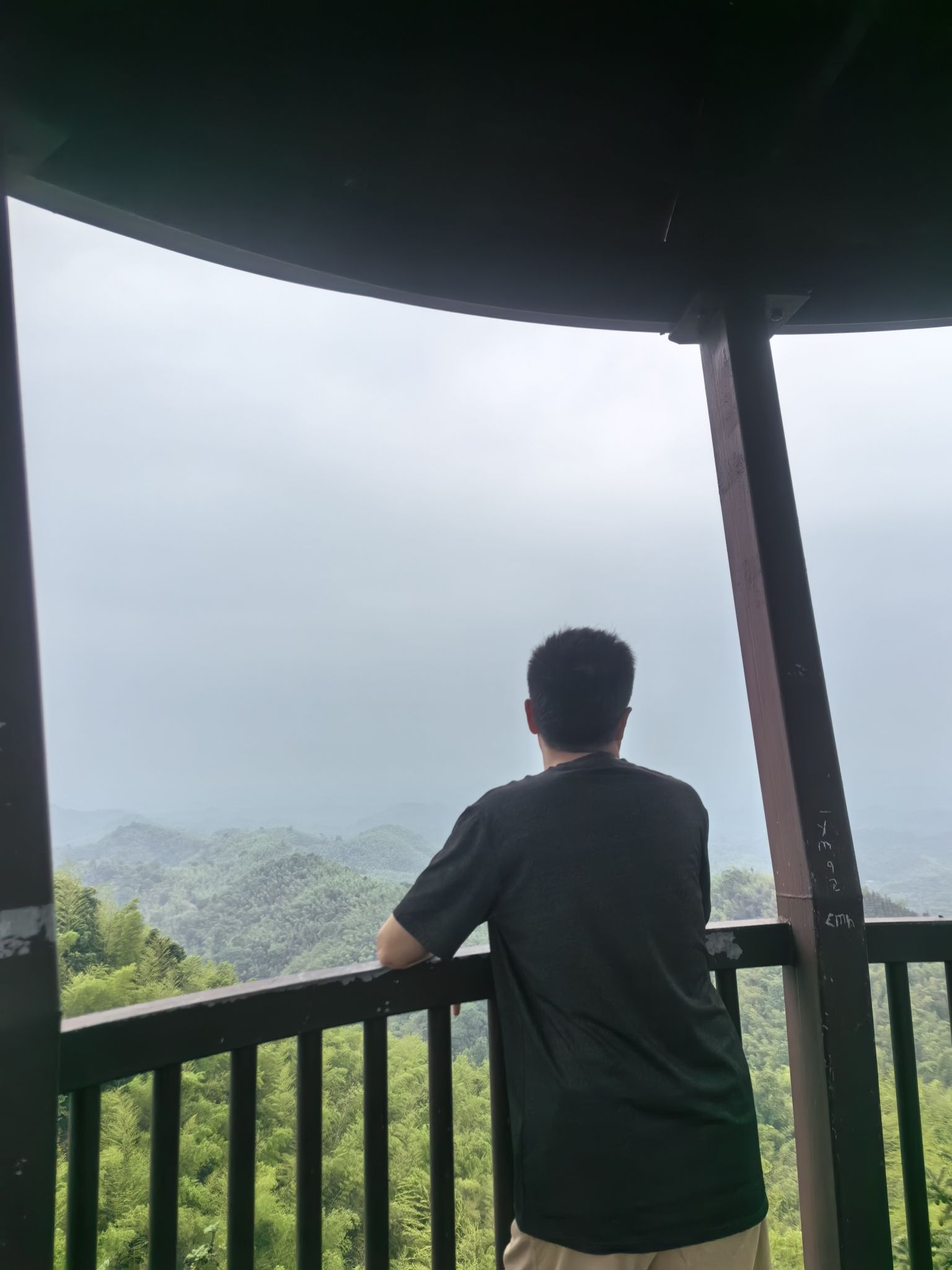 汉寿竹海国家森林公园旅行图片 3