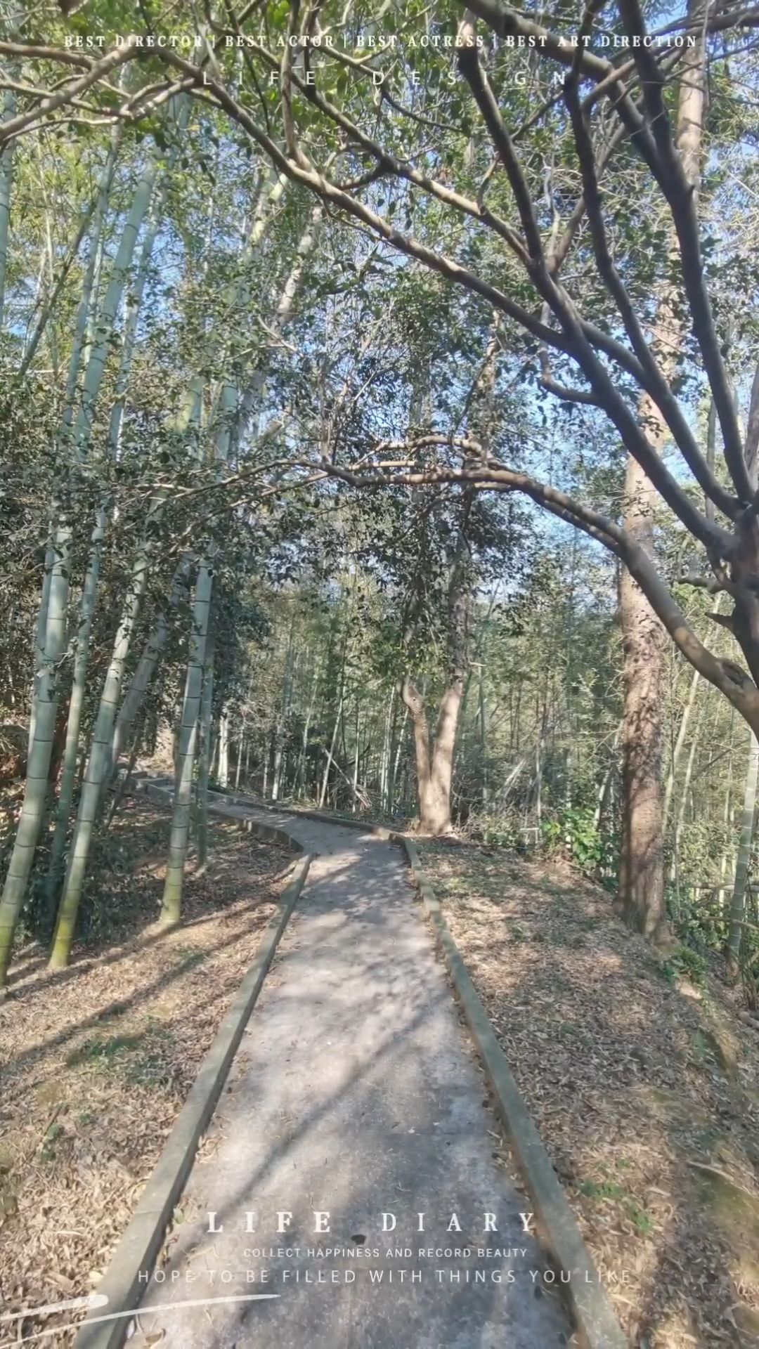 汉寿竹海国家森林公园旅行图片 1
