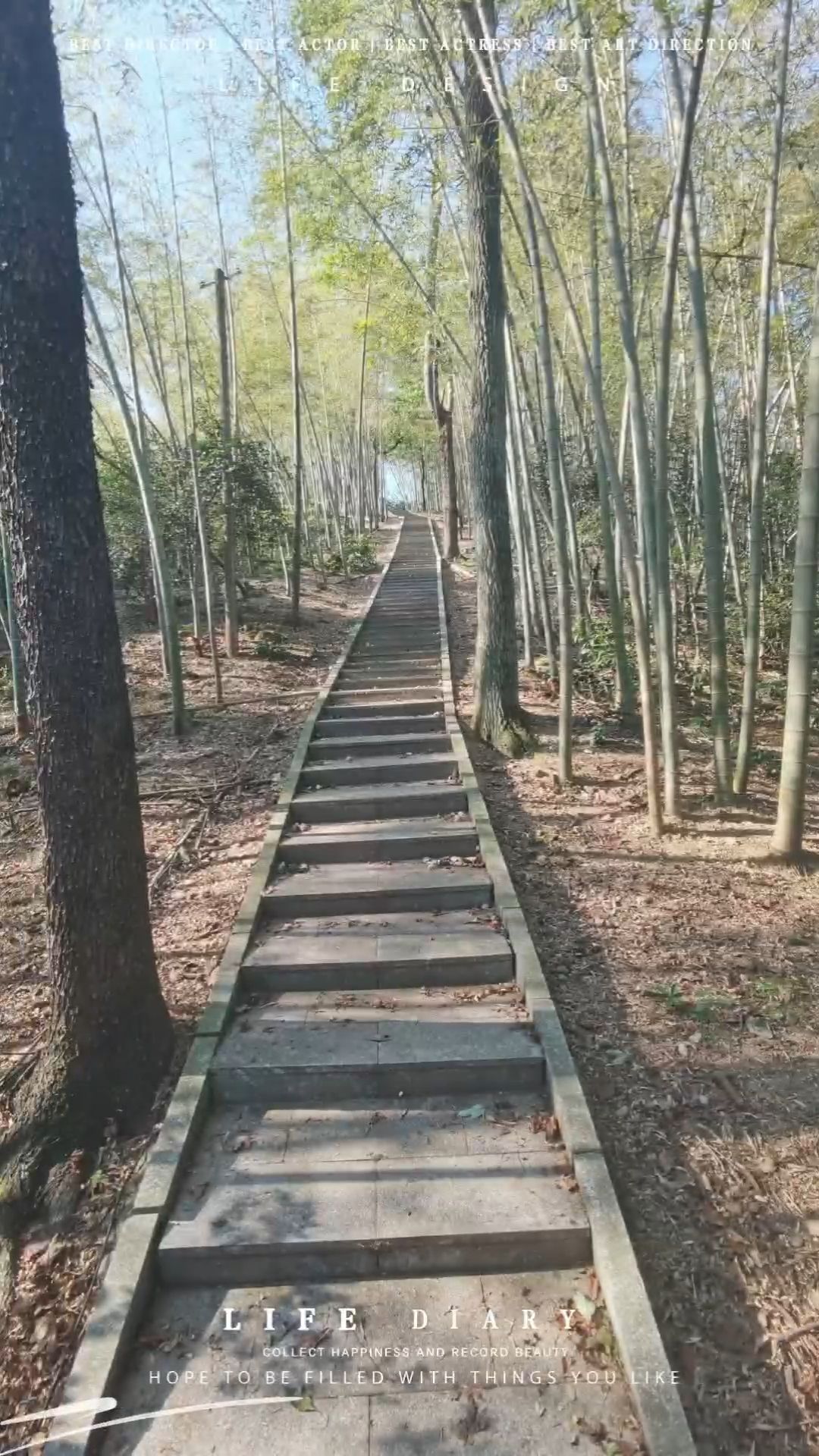 汉寿竹海国家森林公园旅行图片 2