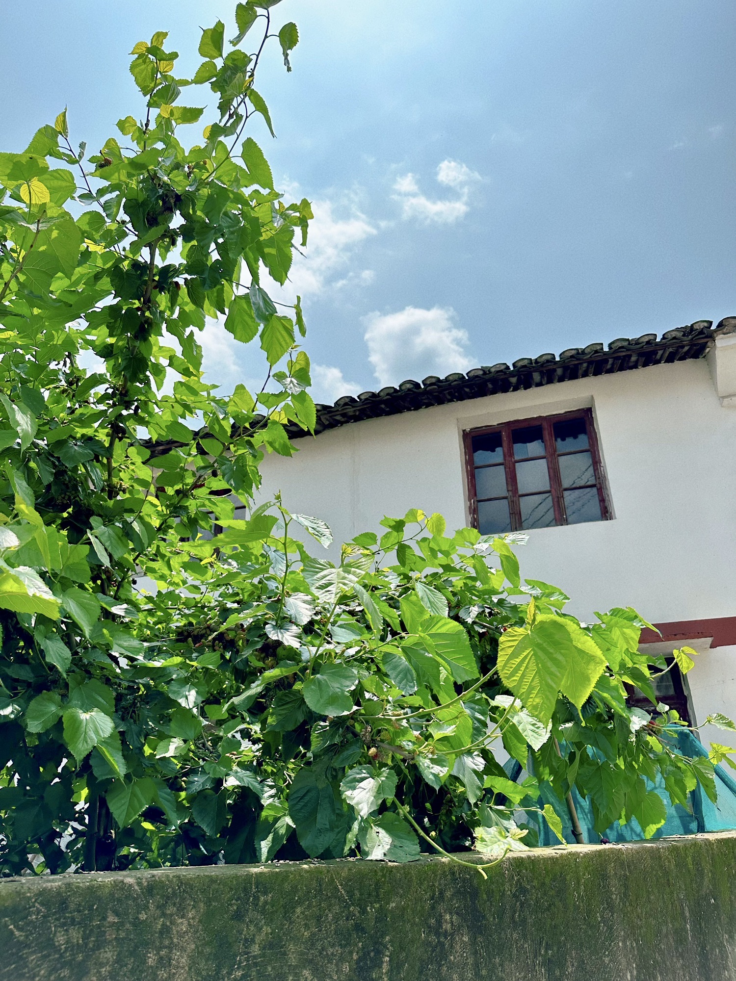 瓯窑小镇旅行图片 3