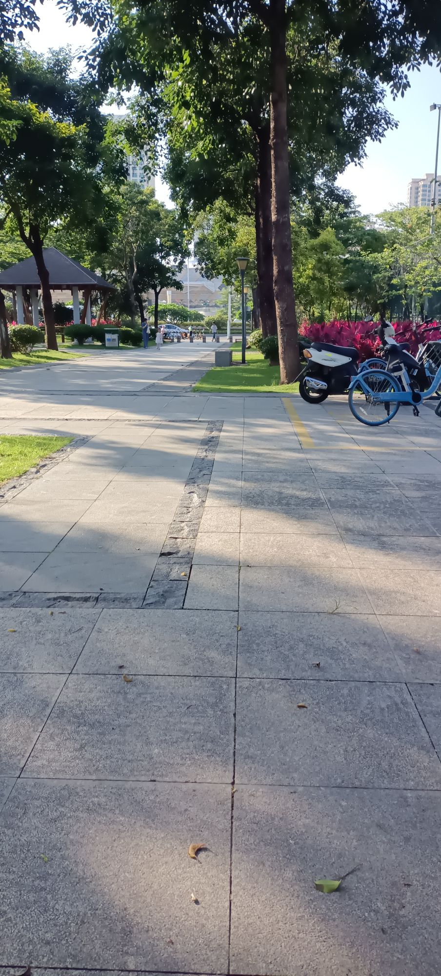 香洲社区公园旅行图片 2