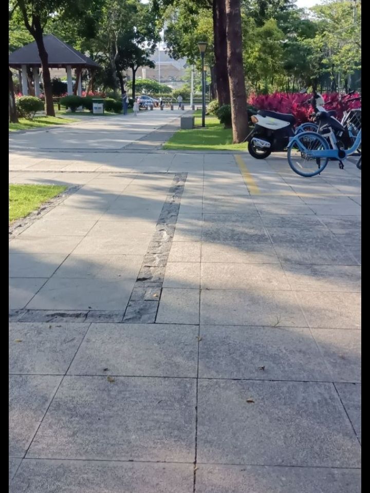 香洲社区公园旅行图片 1