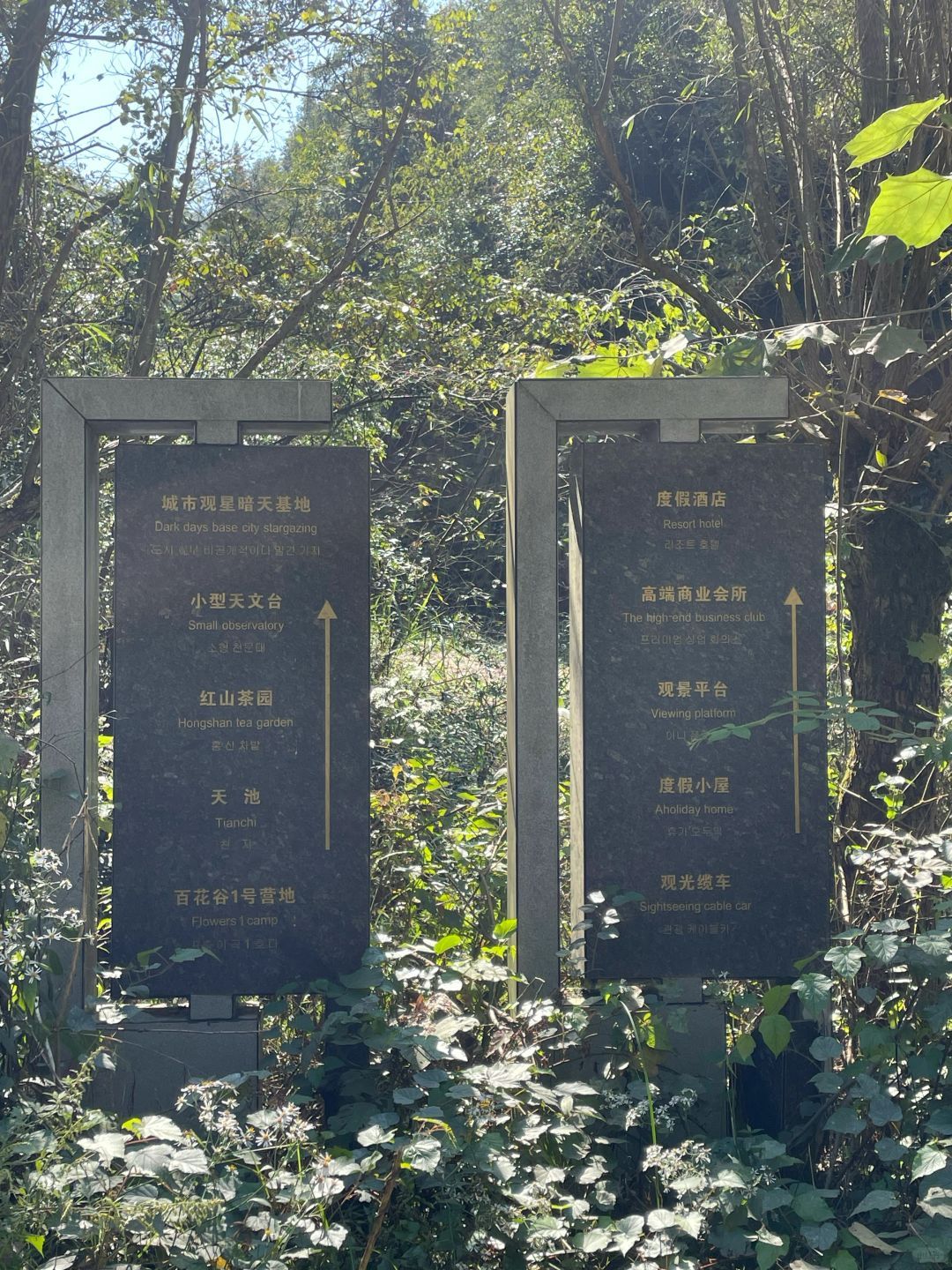 九龙山公园旅行图片 2