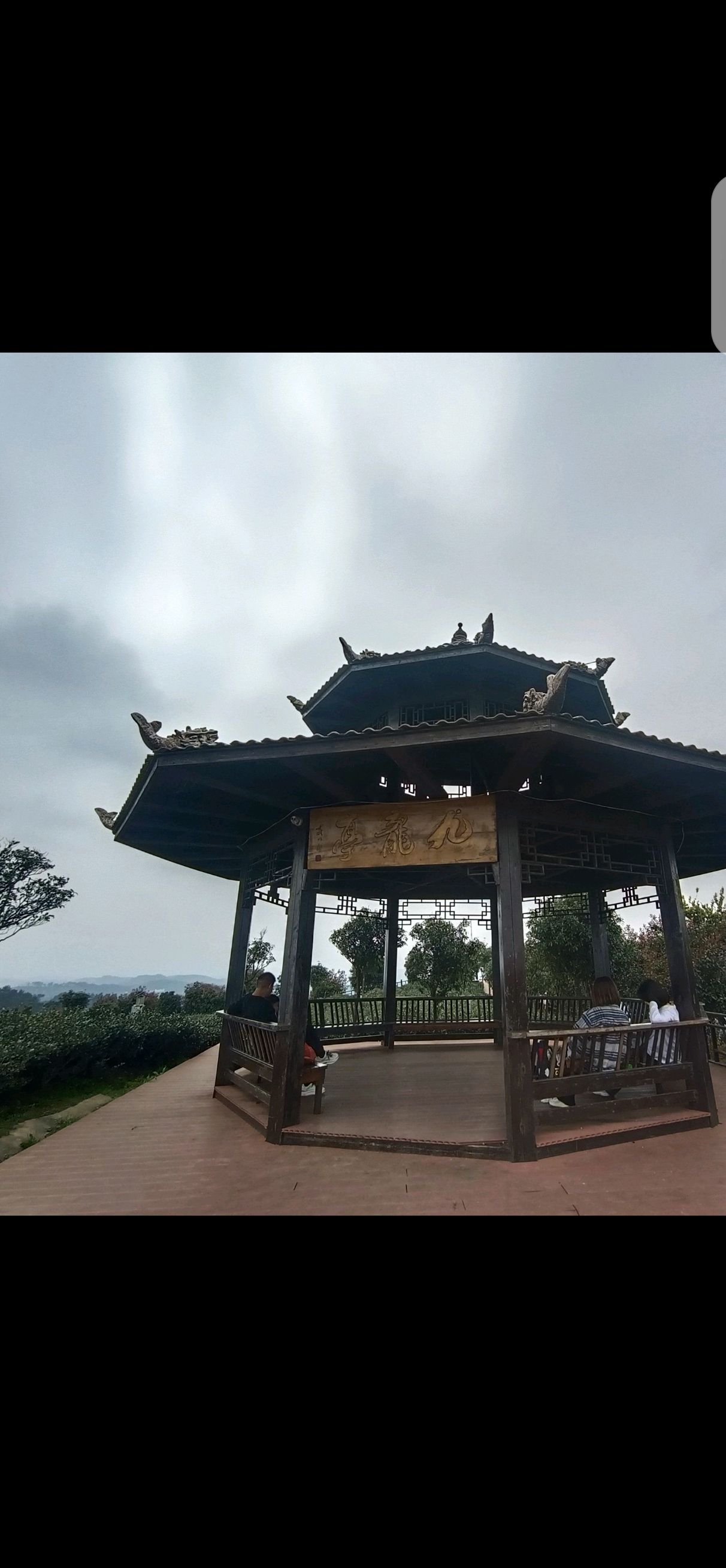九龙山公园旅行图片 1
