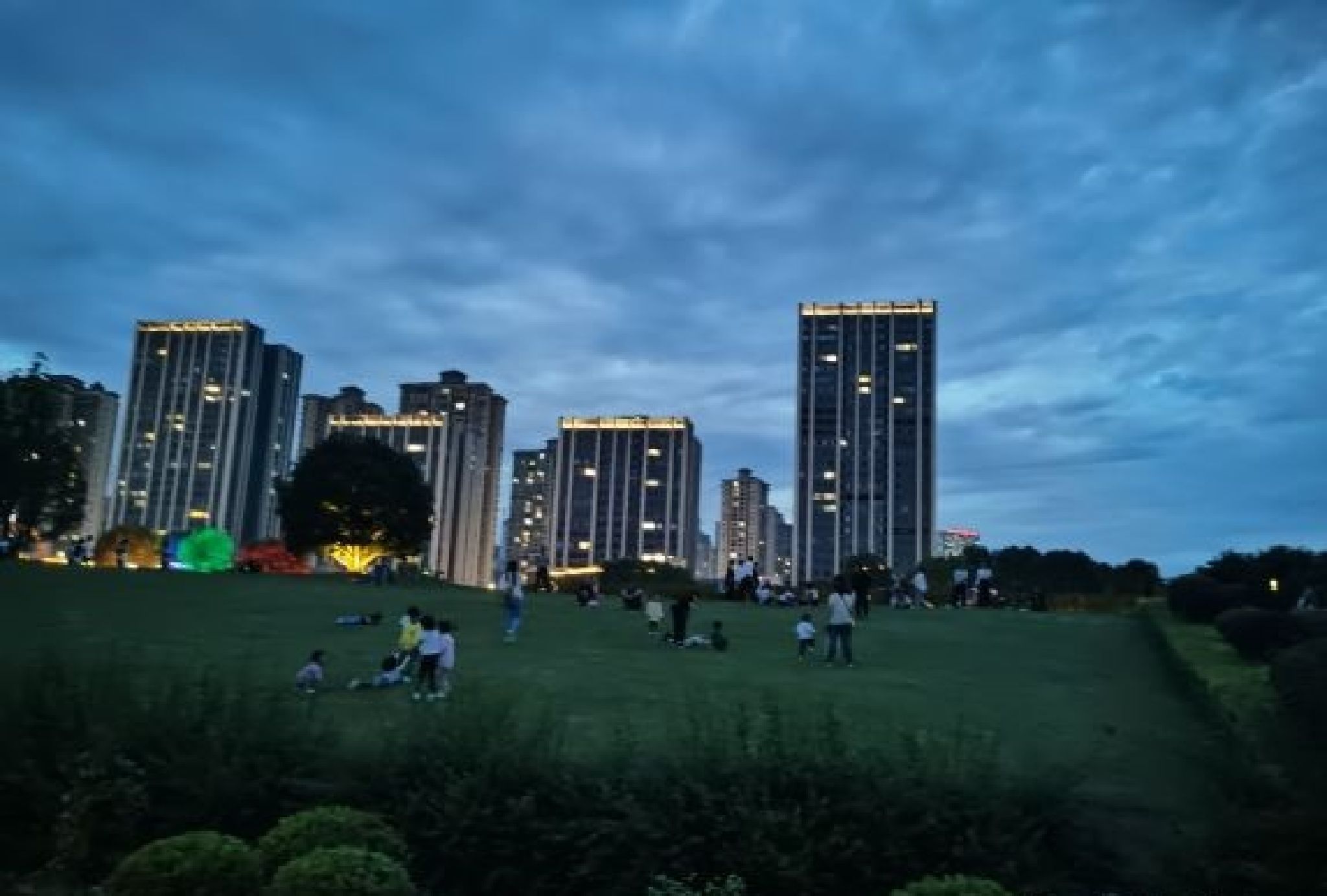月光草坪旅行图片 3