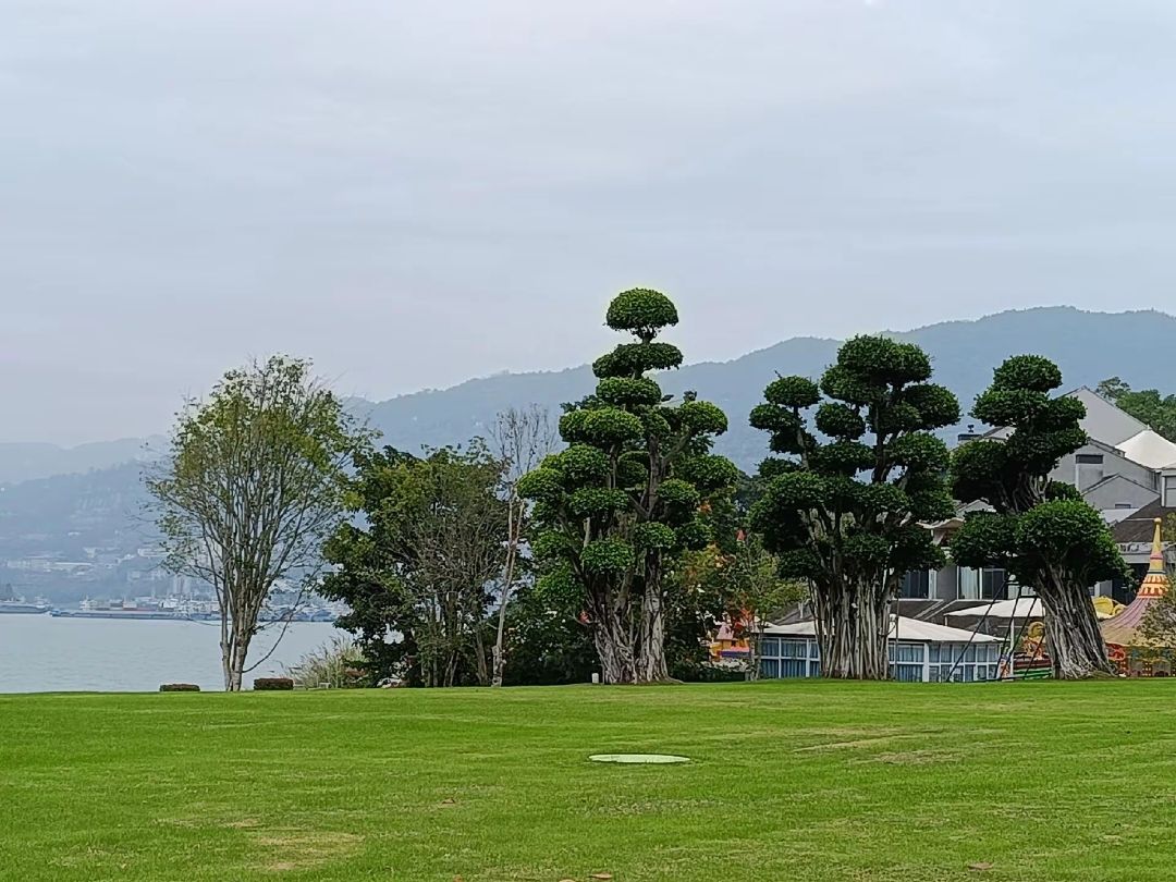 月光草坪旅行图片 2
