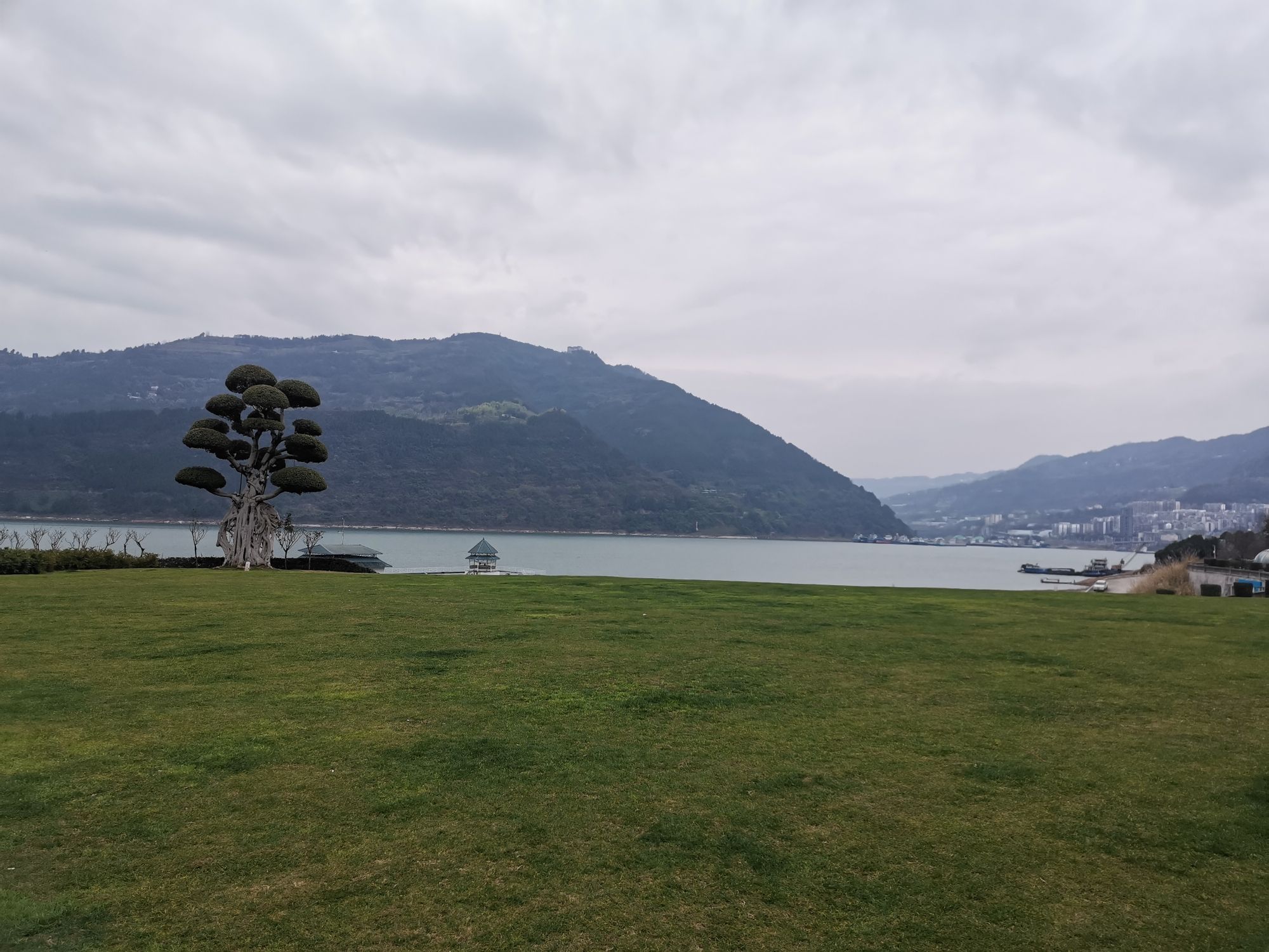 月光草坪旅行图片 2