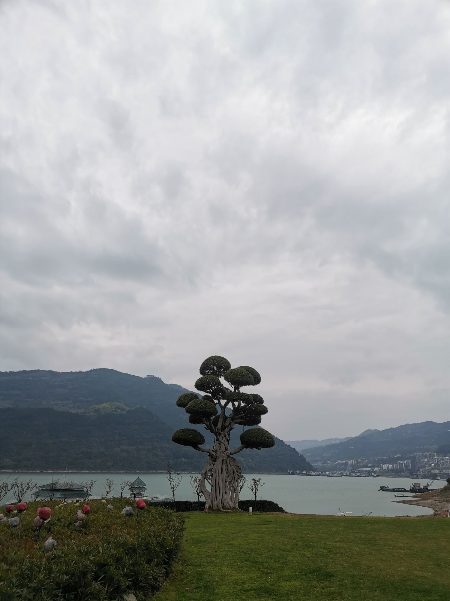 月光草坪旅行图片 3