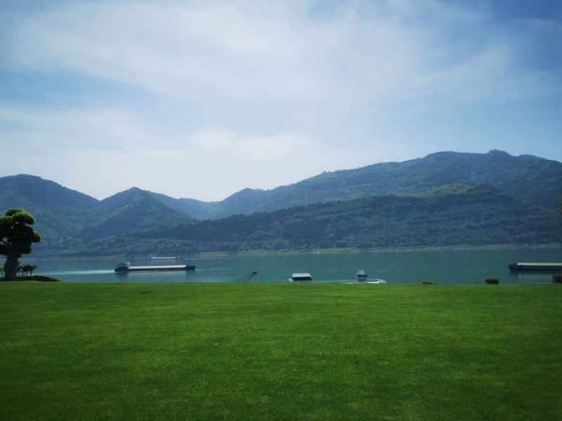 月光草坪旅行图片 1