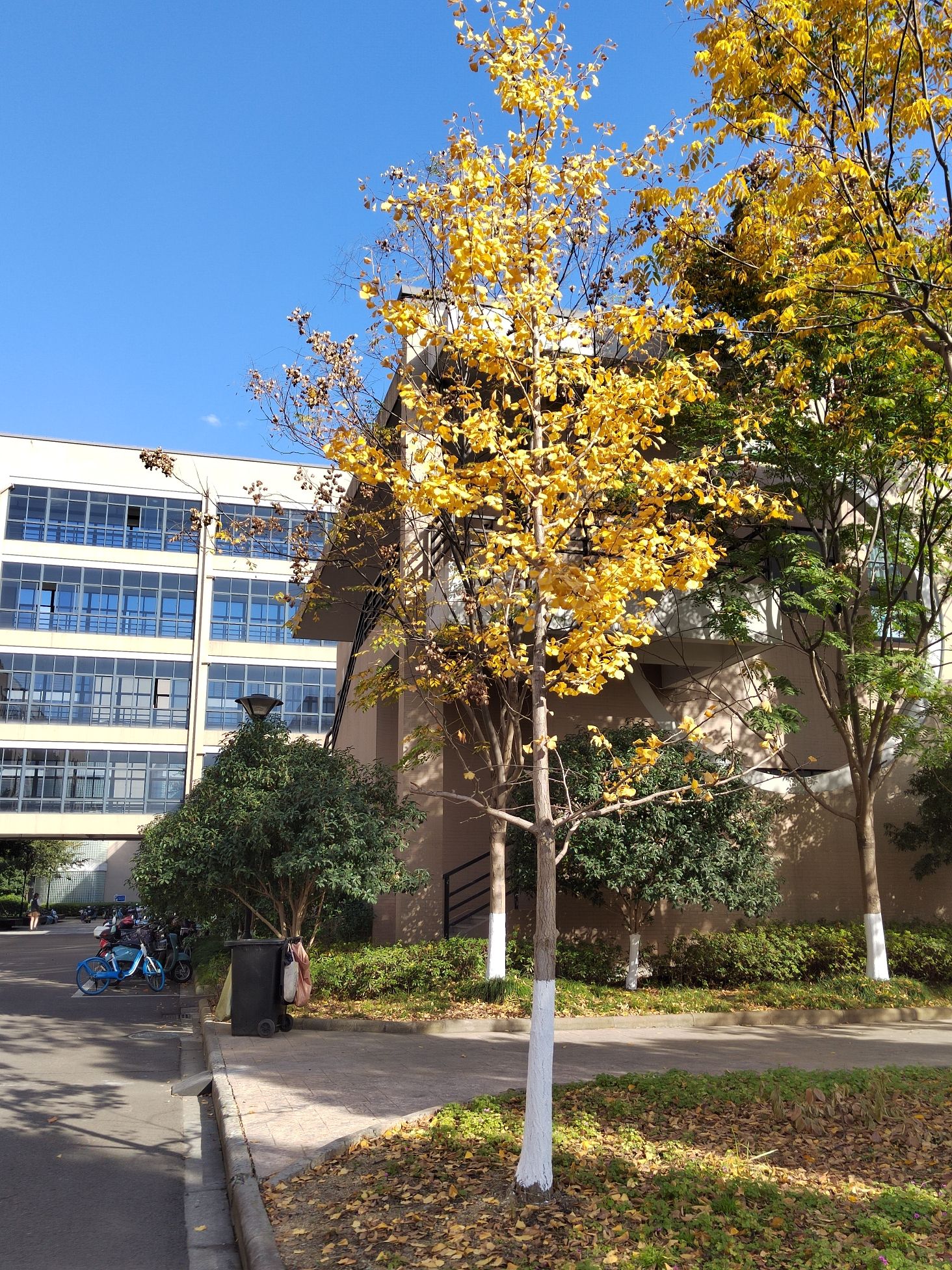 宁波工程学院材料与化学工程学院