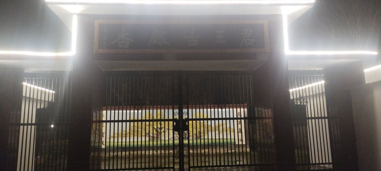 君王古银杏旅行图片 1