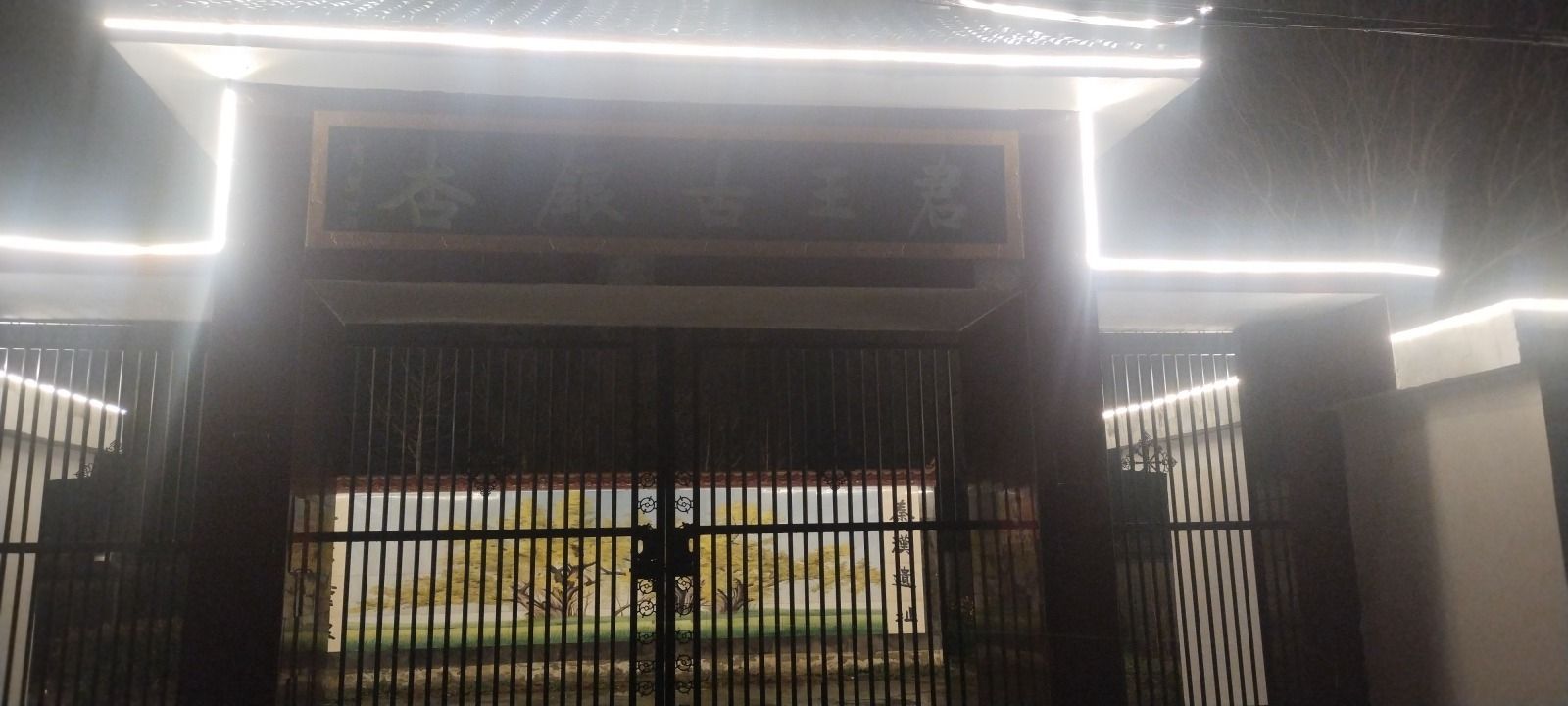 君王古银杏旅行图片 2