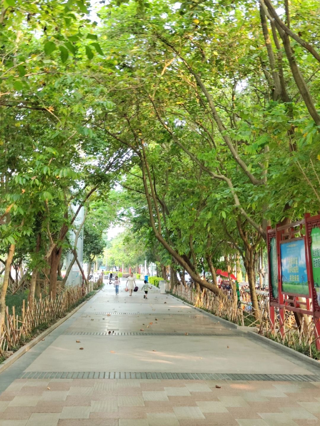 大沙田滨江广场旅行图片 1