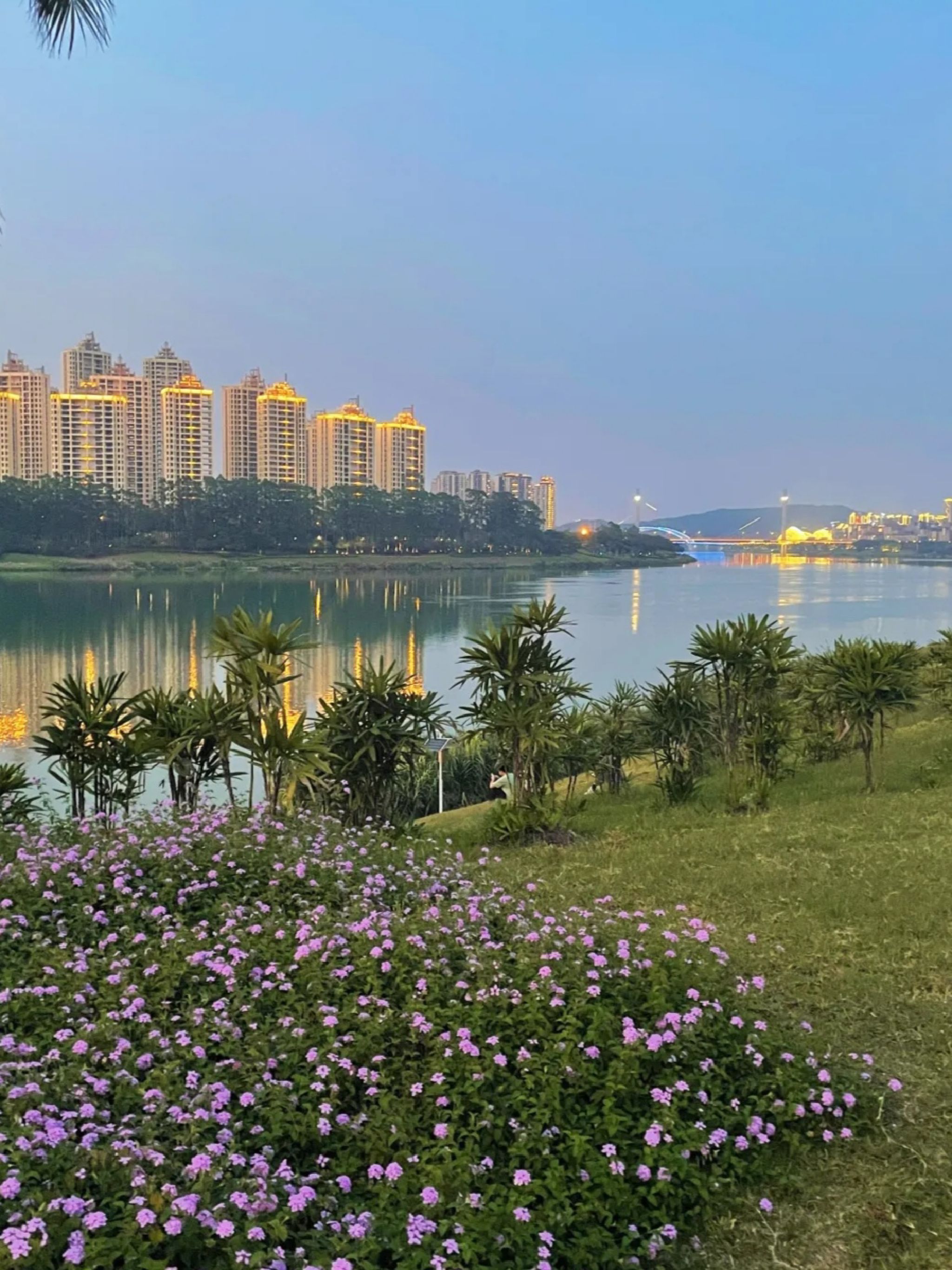 大沙田滨江广场旅行图片 1