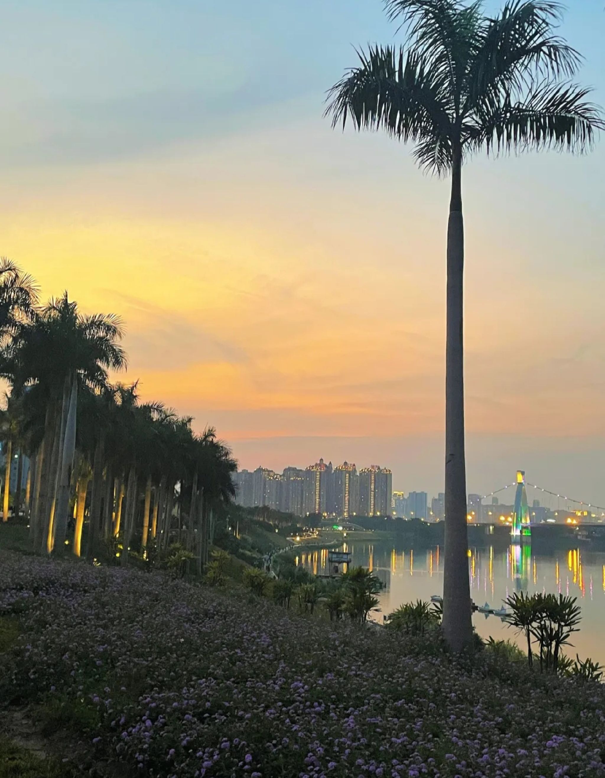 大沙田滨江广场旅行图片 2