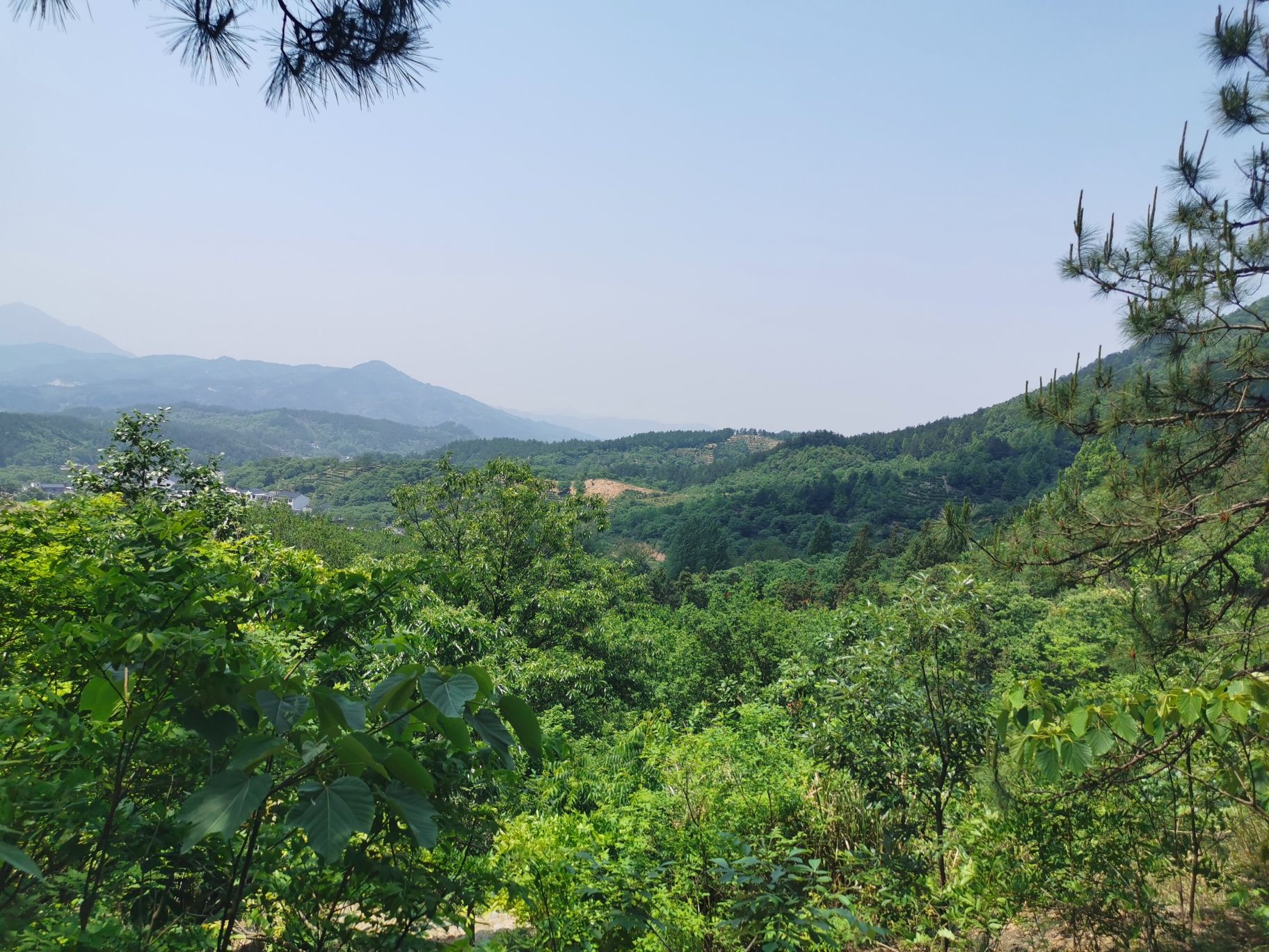 金刚台里罗城景区旅行图片 1