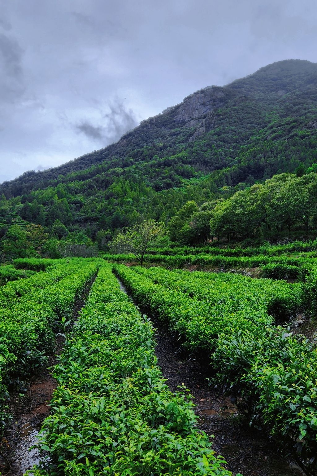 金刚台里罗城景区旅行图片 1