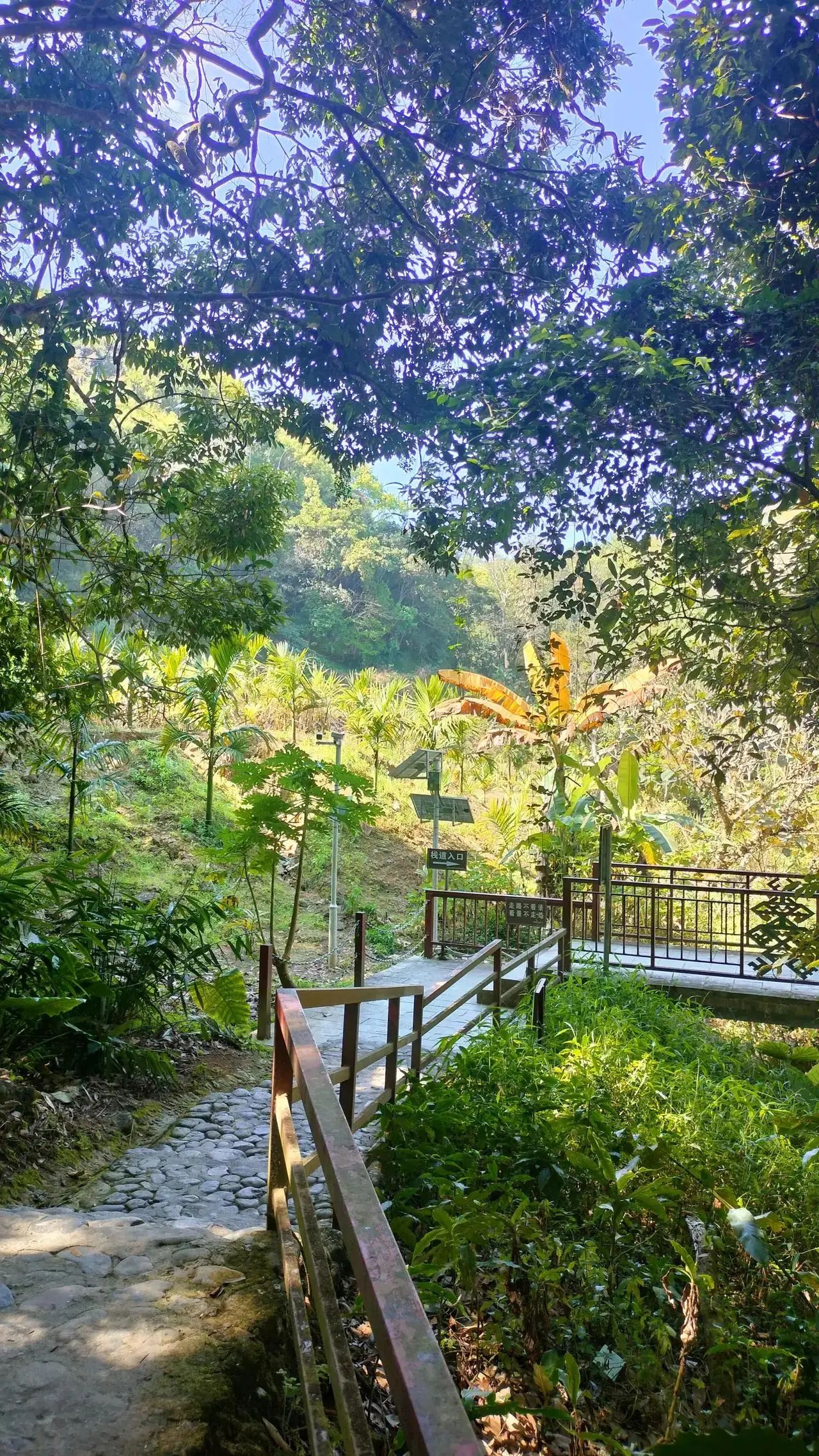 云浮市五指山森林公园