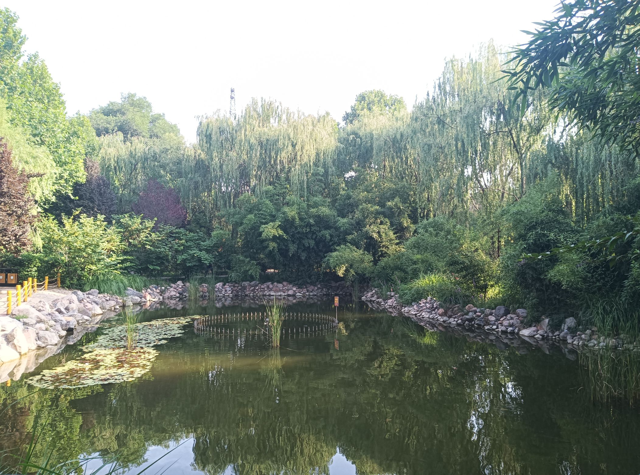 侯马程王公园