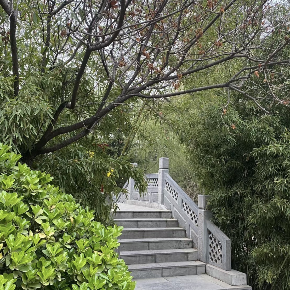 侯马程王公园旅行图片 1