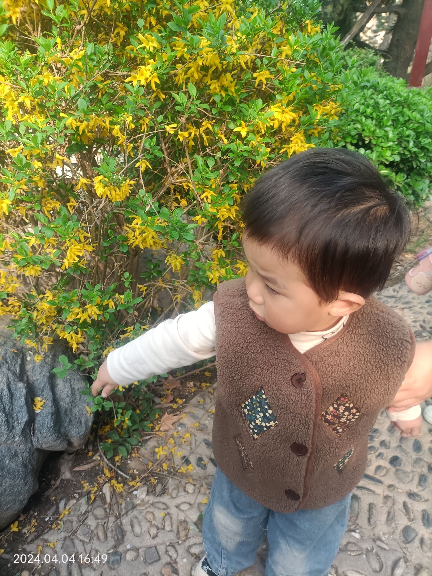 侯马程王公园旅行图片 3