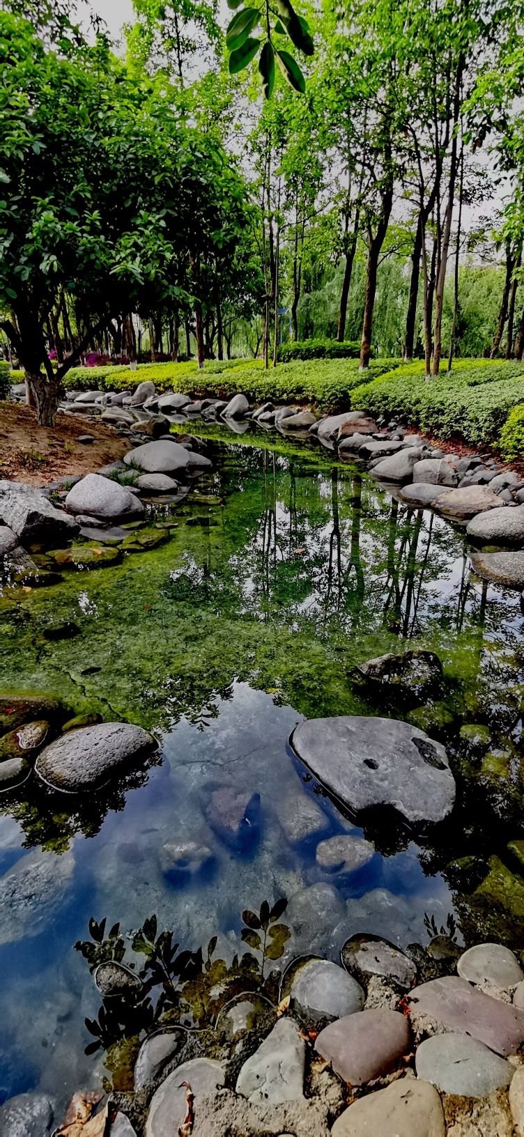大河公园旅行图片 2