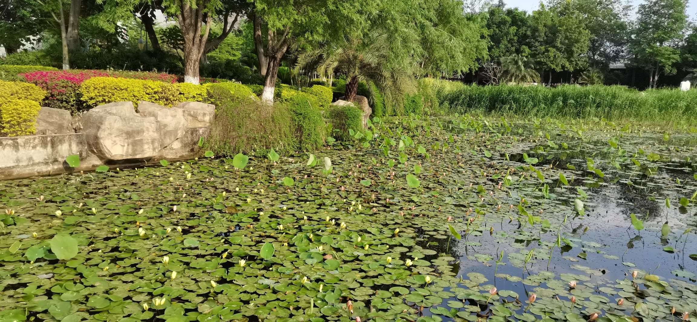 大河公园旅行图片 1