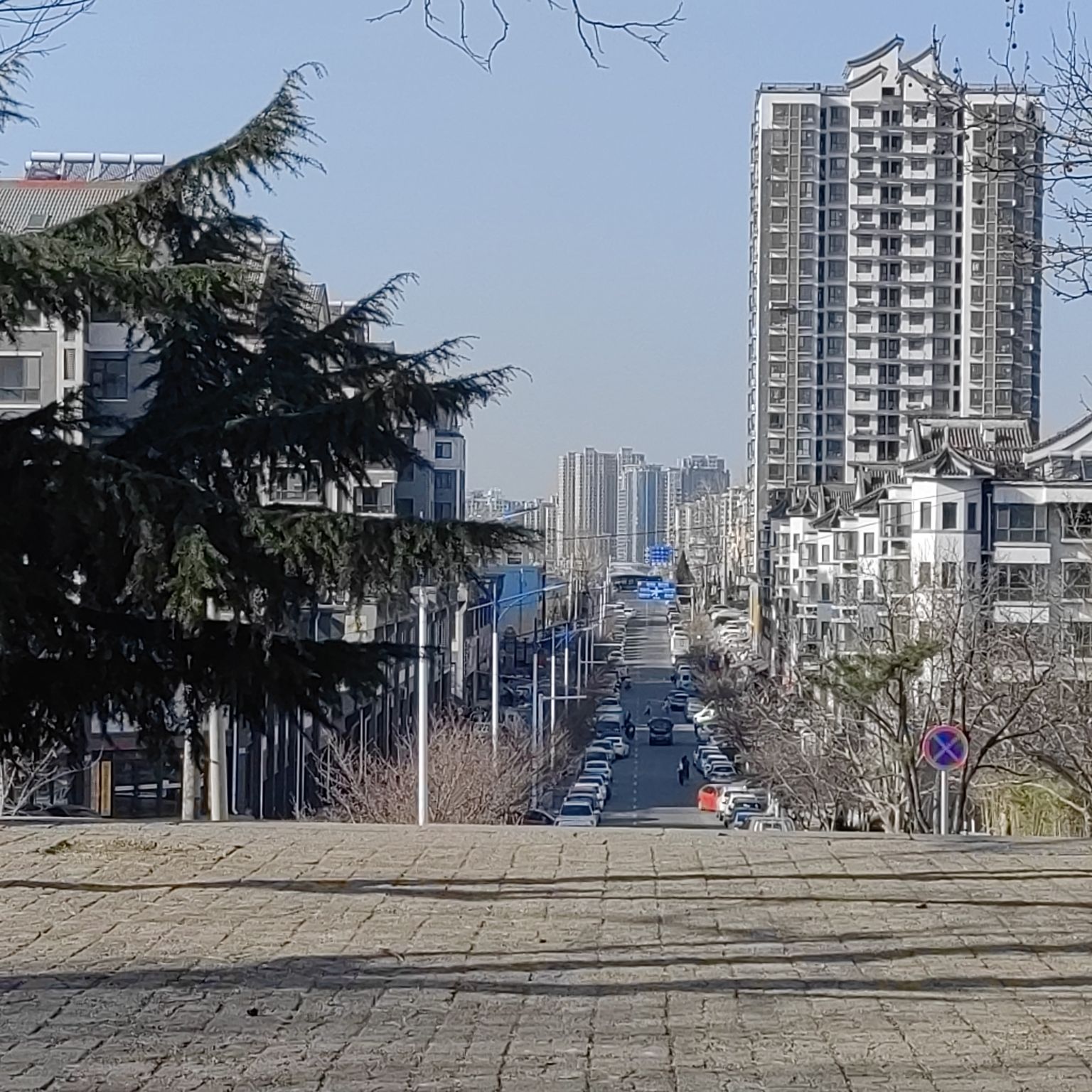 青龙山健康主题公园旅行图片 3