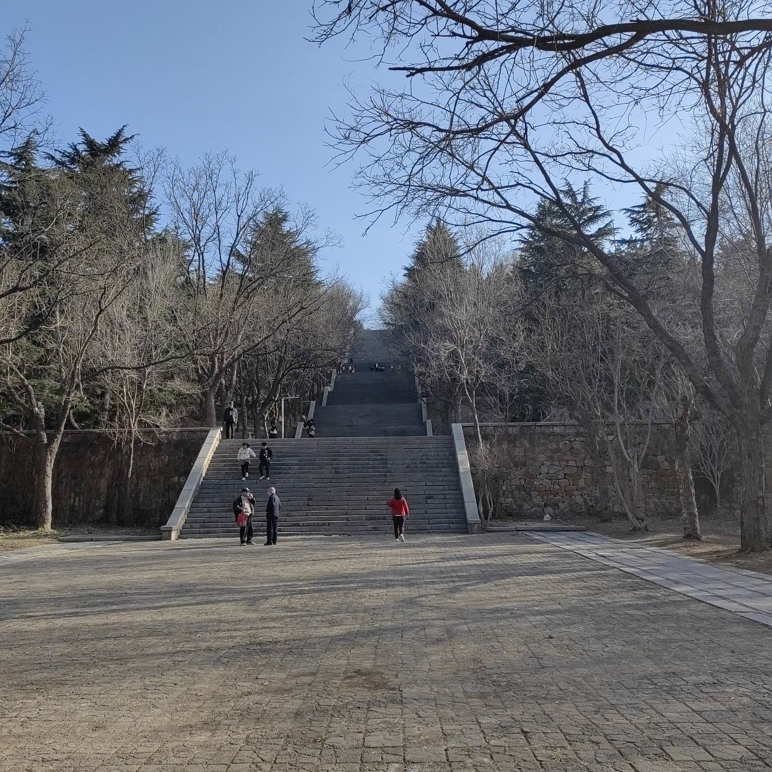 青龙山健康主题公园旅行图片 2