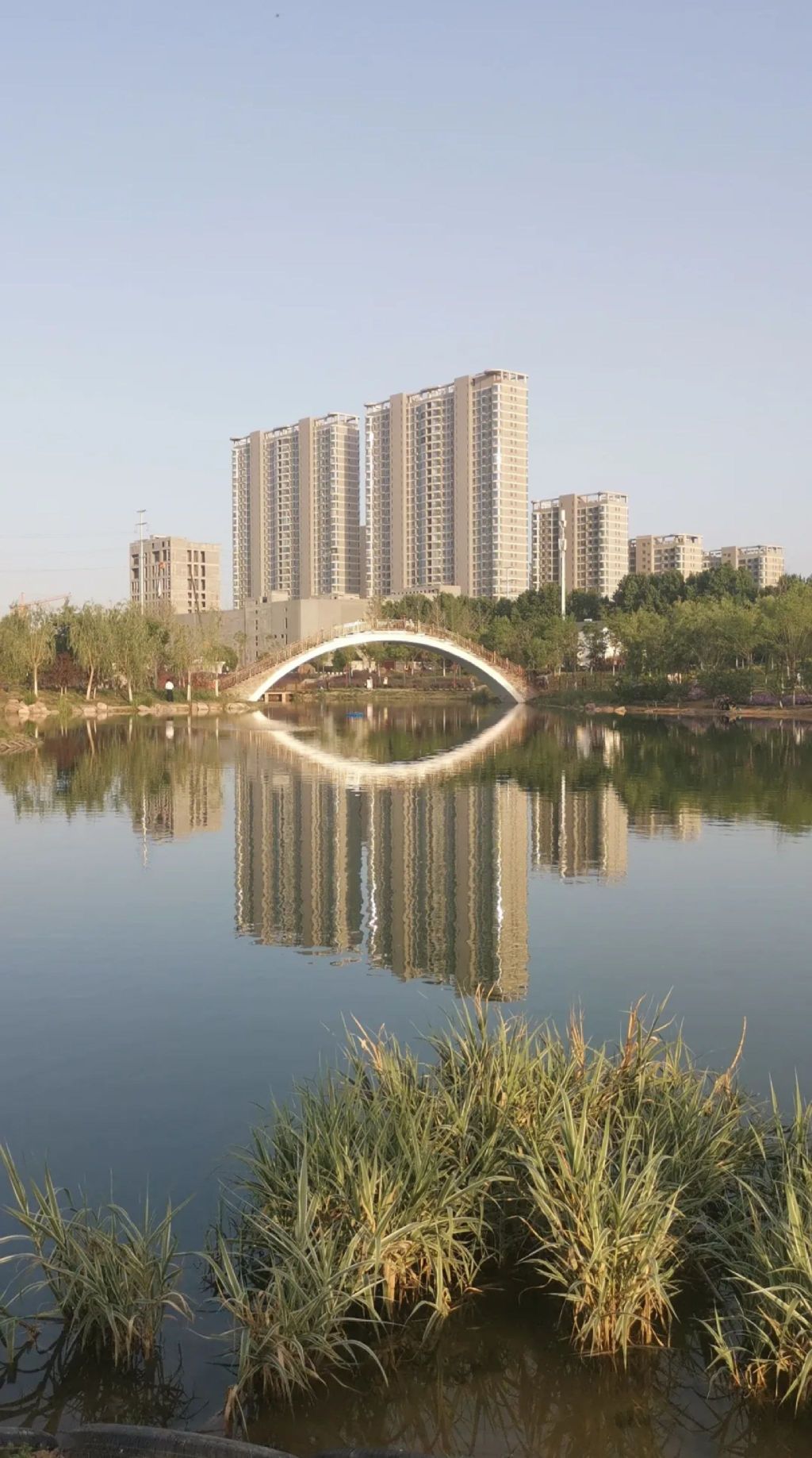 子夏公园旅行图片 1