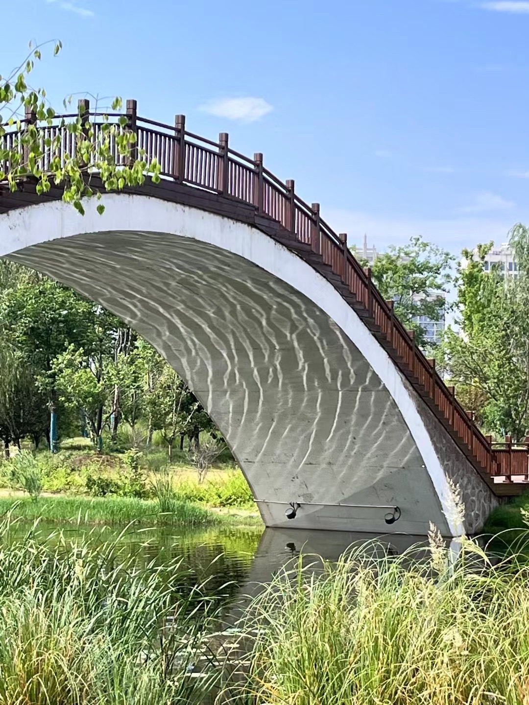子夏公园旅行图片 1