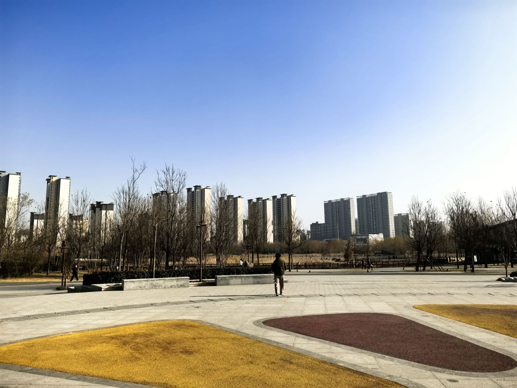 子夏公园旅行图片 2