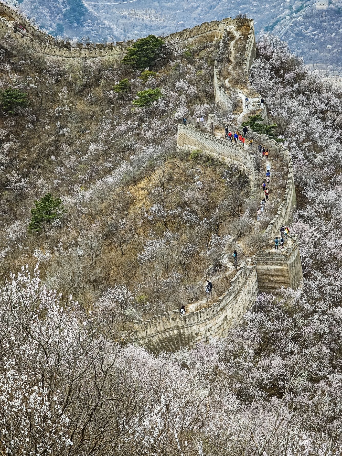 黄花城野长城旅行图片 1