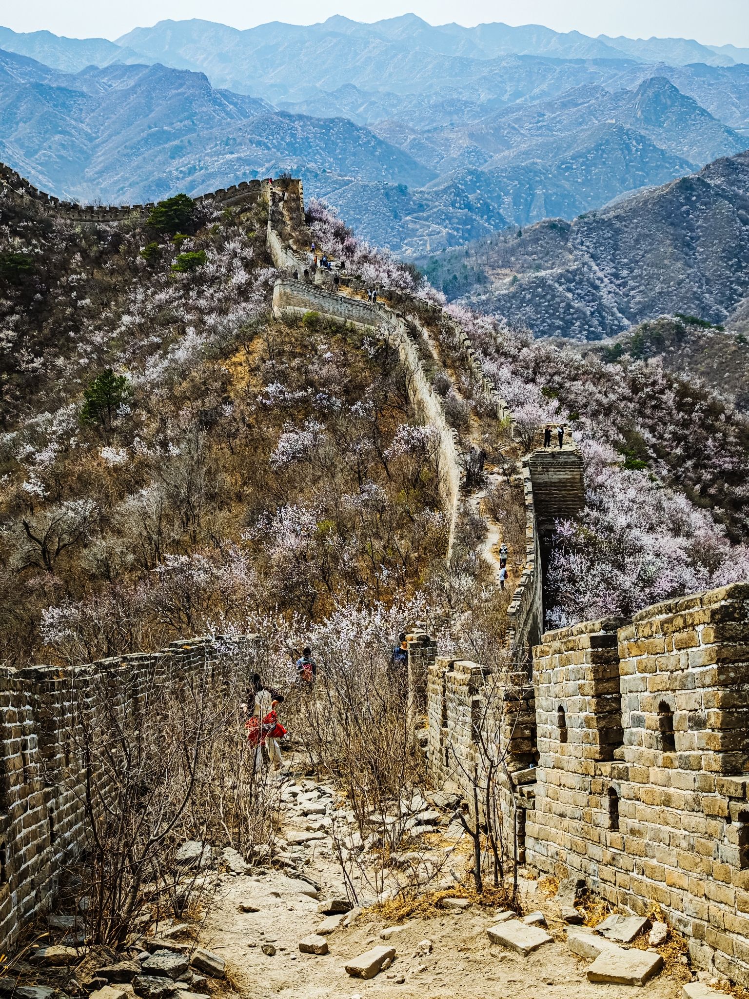 黄花城野长城旅行图片 2