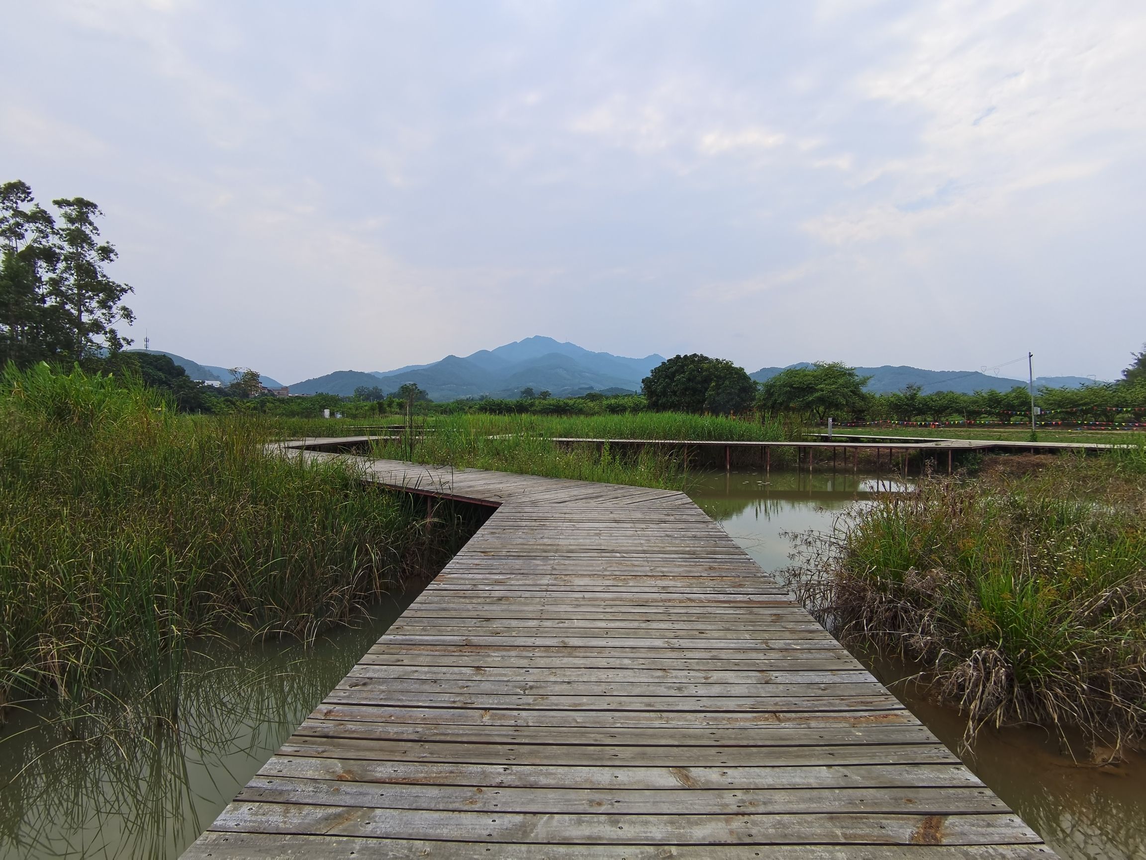 福禄河湿地公园旅行图片 3