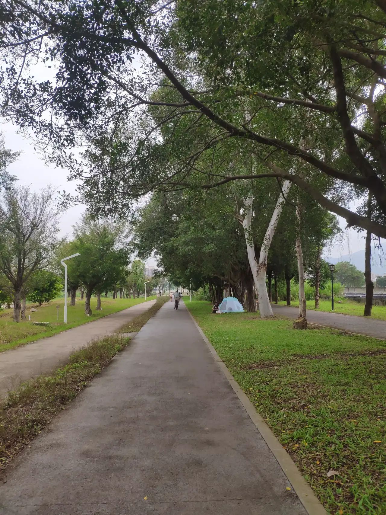 福禄河湿地公园旅行图片 3
