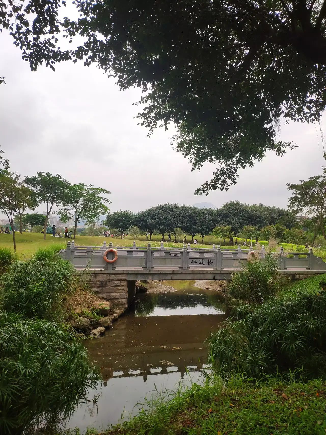 福禄河湿地公园旅行图片 1
