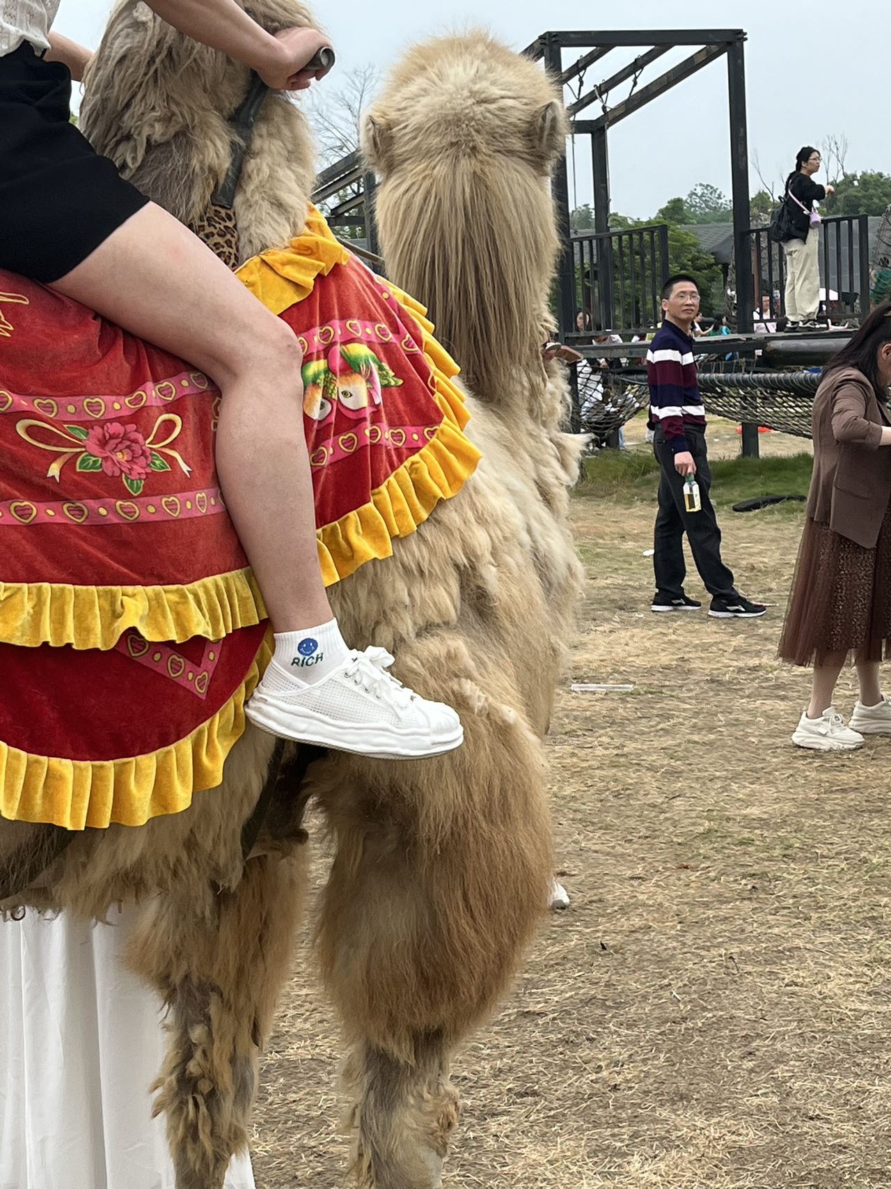 金甲古镇旅行图片 2