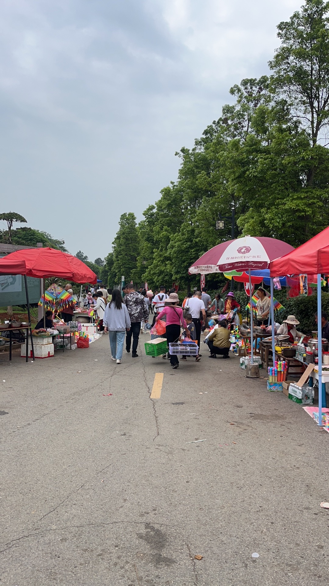 金甲古镇旅行图片 1
