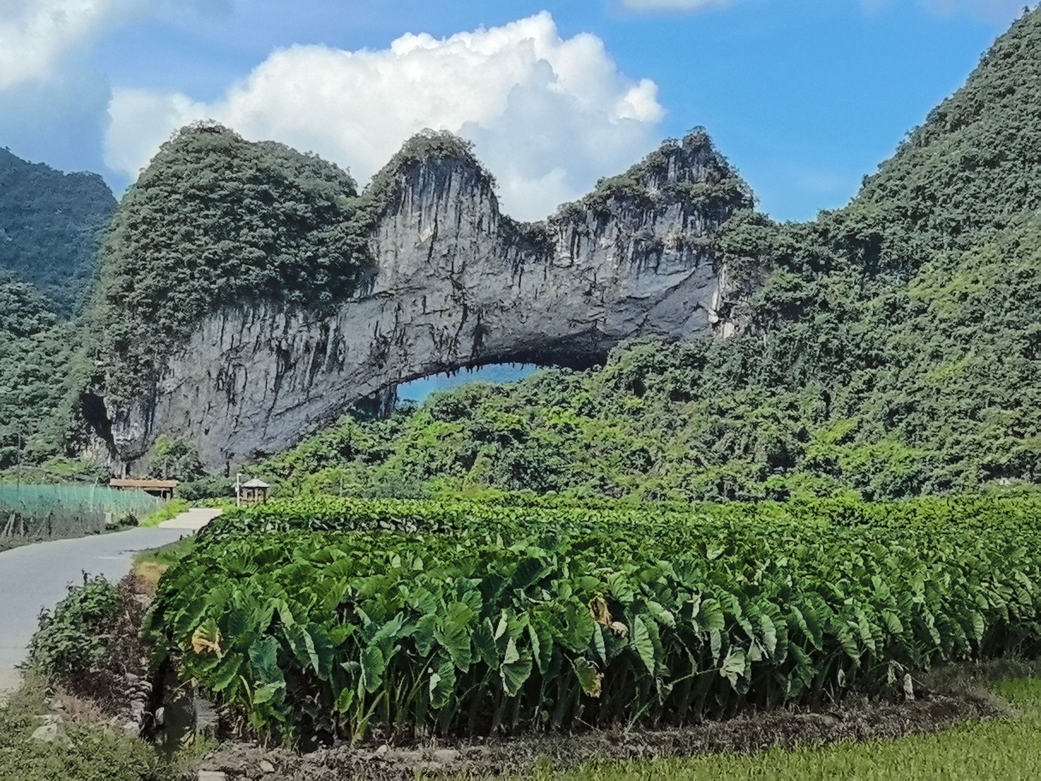 平乐县青龙月亮山