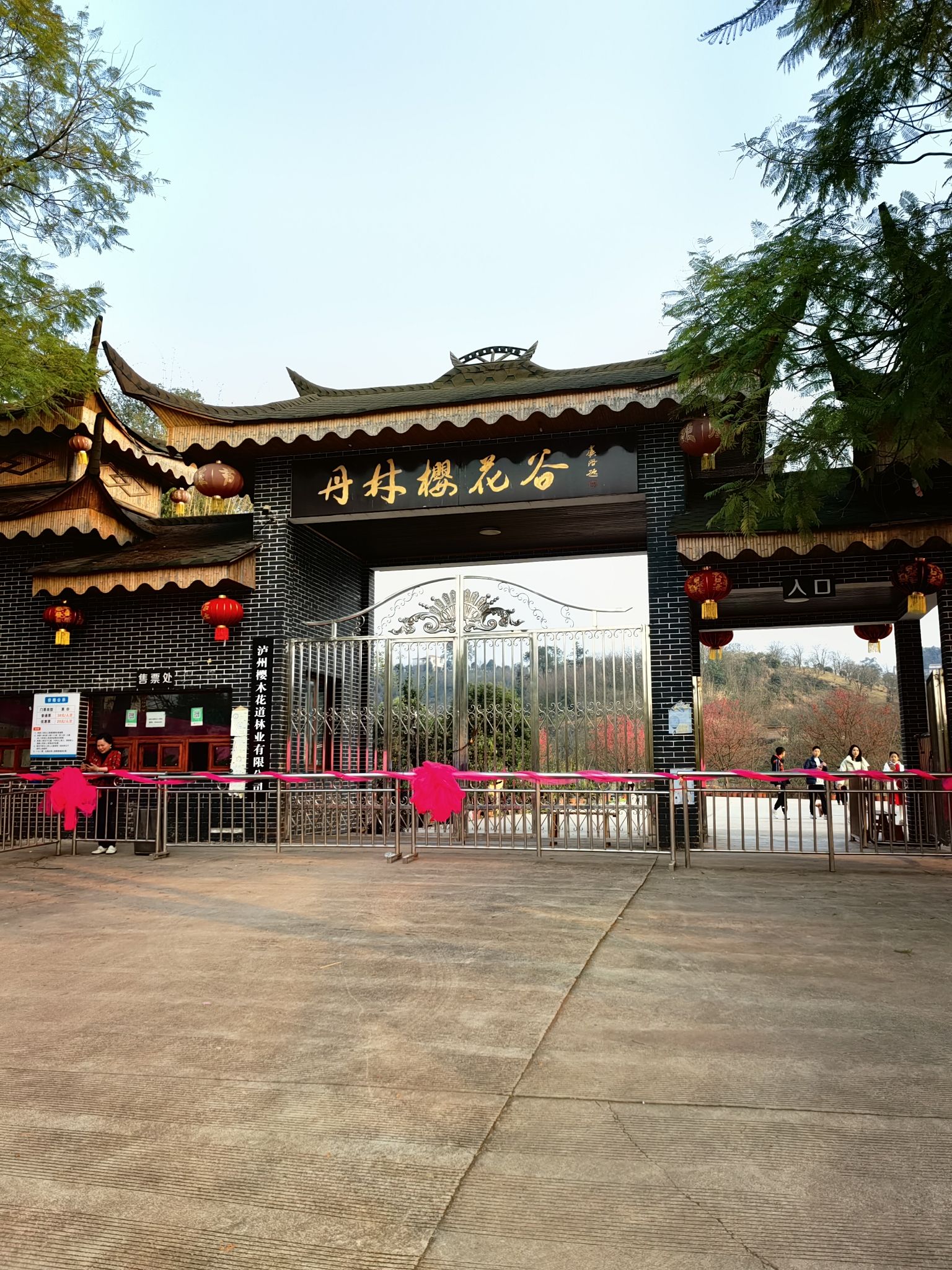 丹林樱花谷旅行图片 1