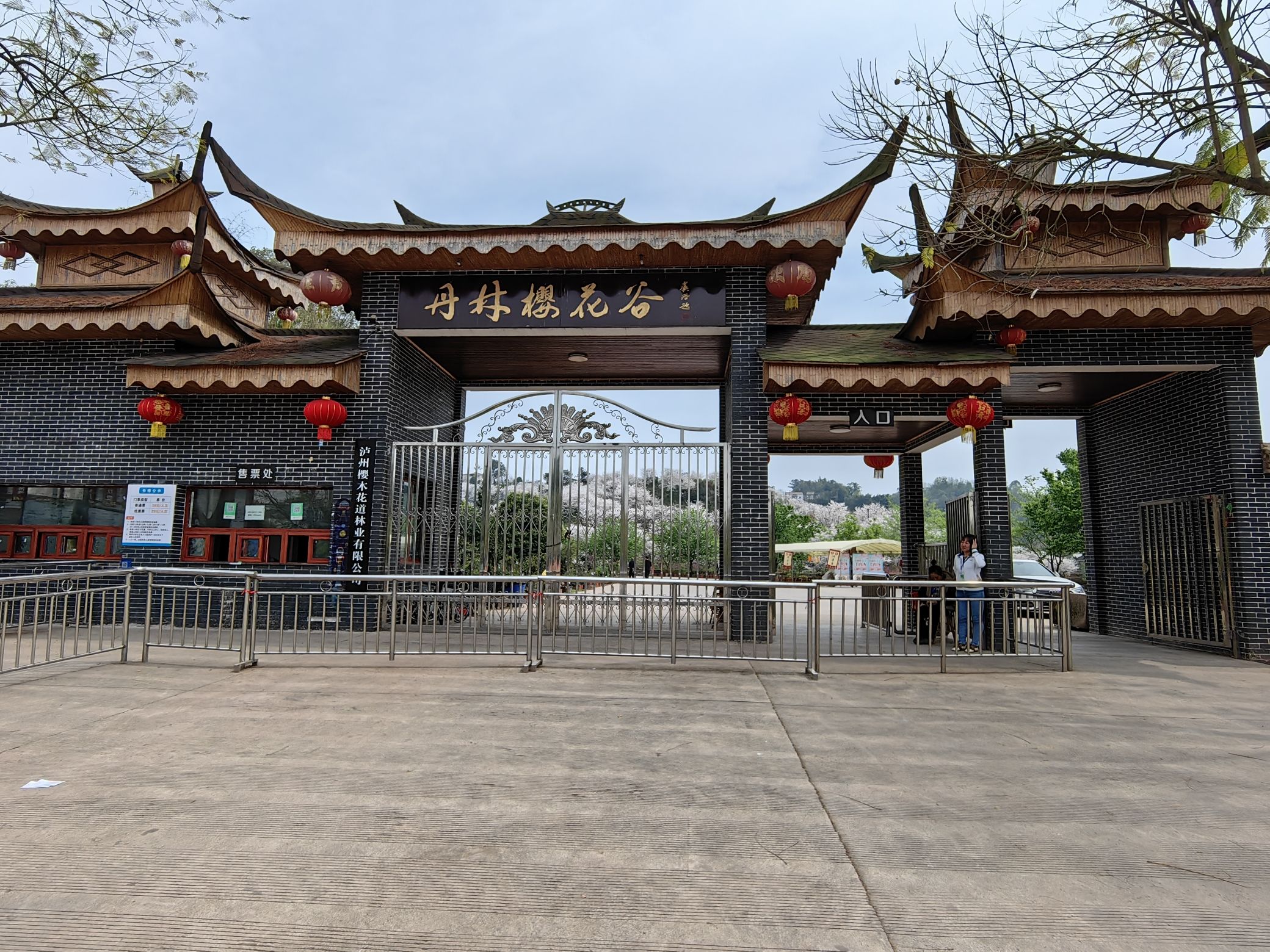 丹林樱花谷旅行图片 1